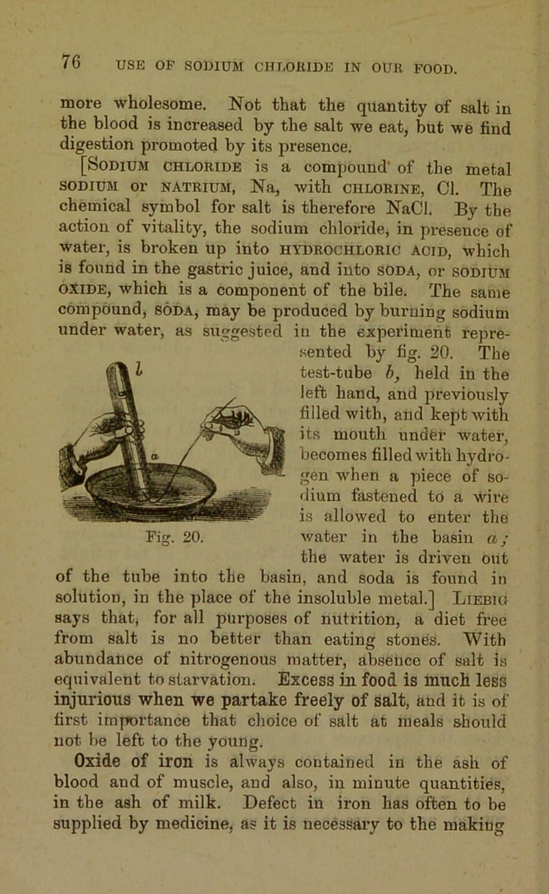 more wholesome. Not that the quantity of salt in the blood is increased by the salt we eat, but we find digestion promoted by its presence. [Sodium chloride is a compound' of the metal SODIUM or NATRIUM, Na, with CHLORINE, Cl. The chemical symbol for salt is therefore NaCl. By the action of vitality, the sodium chloride, in presence of water, is broken up into hydrochloric acid, which is found in the gastric juice, and into soda, or sodium oXiDE, which is a component of the bile. The same compound, soda, may be produced by burning sodium under water, as suggested in the experiment repre- of the tube into the basin, and soda is found in solution, in the place of the insoluble metal.] Liebig says that, for all purposes of nutrition, a diet free from salt is no better than eating stones. With abundance of nitrogenous matter, aliseuce of salt is equivalent to starvation. Excess in food is much less injurious when we partake freely of salt, and it is of first importance that choice of salt at meals should not be left to the young. Oxide of iron is always contained in the ash of blood and of muscle, and also, in minute quantities, in the ash of milk. Defect in iron has often to be supplied by medicine, as it is necessary to the making sented by fig. 20. The test-tube b, held in the left hand, and previously filled with, and kept with its mouth under water, becomes filled with hydro- gen when a piece of so- dium fastened to a wire is allowed to enter the water in the basin a; the water is driven out