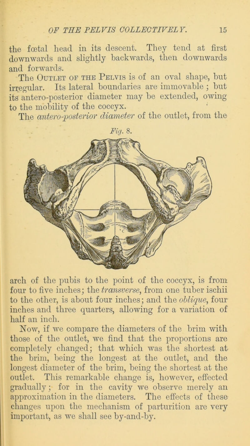 the foetal head in its descent. They tend at first downwards and slightly backwards, then downwards and forwards. The Outlet of the Pelvis is of an oval shape, but irregular. Its lateral boundaries are immovable ; but its antero-posterior diameter may be extended, owing to the mobility of the coccyx. The antero-posterior diameter of the outlet, from the Fig. 8. arch of the pubis to the point of the coccyx, is from four to five inches; the transverse, from one tuber ischii to the other, is about four inches; and the oblique, four inches and three quarters, allowing for a variation of half an inch. Now, if we compare the diameters of the brim with those of the outlet, we find that the proportions are completely changed; that which was the shortest at the brim, being the longest at the outlet, and the longest diameter of the brim, being the shortest at the outlet. This remarkable change is, however, effected gradually; for in the cavity we observe merely an approximation in the diameters. The effects of these changes upon the mechanism of parturition are very important, as we shall see by-and-by.