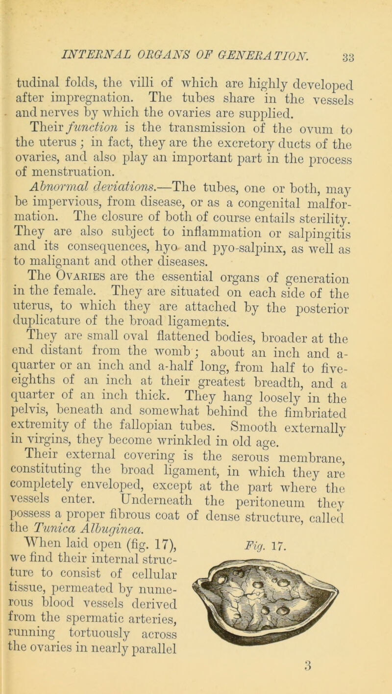 tudinal folds, the villi of which are highly developed after impregnation. The tubes share in the vessels and nerves by which the ovaries are supplied. Their function is the transmission of the ovum to the uterus ; in fact, they are the excretory ducts of the ovaries, and also play an important part in the process of menstruation. Abnormal deviations.—The tubes, one or both, may be impervious, from disease, or as a congenital malfor- mation. The closure of both of course entails sterility. They are also subject to inflammation or salpingitis and its consequences, hyo and pyo-salpinx, as well as to malignant and other diseases. The Ovaries are the essential organs of generation in the female. They are situated on each side of the uterus, to which they are attached by the posterior duplicature of the broad ligaments. They are small oval flattened bodies, broader at the end distant from the womb ; about an inch and a- quarter or an inch and a-half long, from half to five- eighths of an inch at their greatest breadth, and a quarter of an inch thick. They hang loosely in the pelvis, beneath and somewhat behind the fimbriated extremity of the fallopian tubes. Smooth externally in virgins, they become wrinkled in old age. Their external covering is the serous membrane, constituting the broad ligament, in which they are completely enveloped, except at the part where the vessels enter. Underneath the peritoneum they possess a proper fibrous coat of dense structure, called the Tunica Albuginea. When laid open (fig. 17), we find their internal struc- ture to consist of cellular tissue, permeated by nume- rous blood vessels derived from the spermatic arteries, running tortuously across the ovaries in nearly parallel 3
