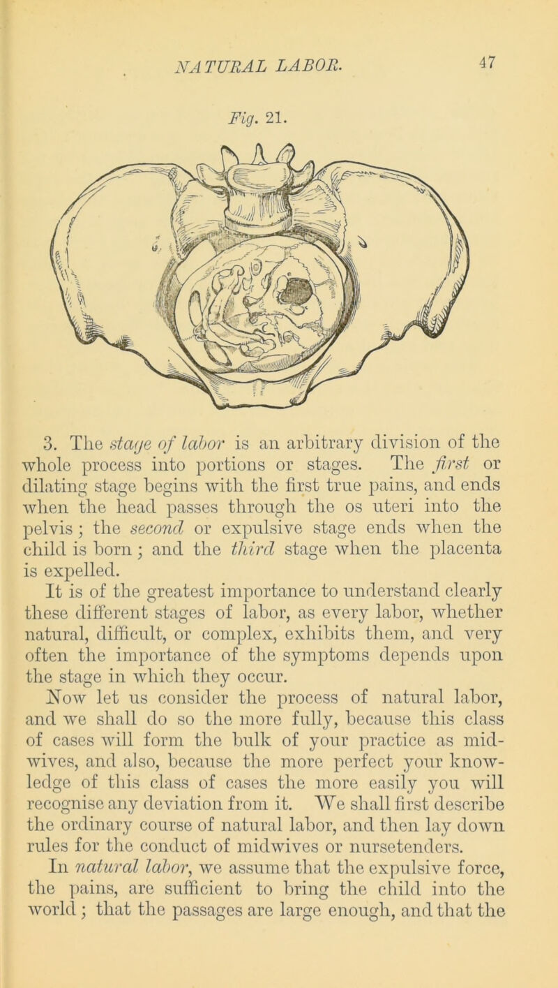 Fig. 21. 3. The stcitje of labor is an arbitrary division of the whole process into portions or stages. The first or dilating stage begins with the first true pains, and ends when the head passes through the os uteri into the pelvis; the second or expulsive stage ends when the child is born; and the third stage when the placenta is expelled. It is of the greatest importance to understand clearly these different stages of labor, as every labor, whether natural, difficult, or complex, exhibits them, and very often the importance of the symptoms depends upon the stage in which they occur. Now let us consider the process of natural labor, and we shall do so the more fully, because this class of cases will form the bulk of your practice as mid- wives, and also, because the more perfect your know- ledge of this class of cases the more easily you will recognise any deviation from it. We shall first describe the ordinary course of natural labor, and then lay down rules for the conduct of mid wives or nursetenders. In natural labor, we assume that the expulsive force, the pains, are sufficient to bring the child into the world ; that the passages are large enough, and that the