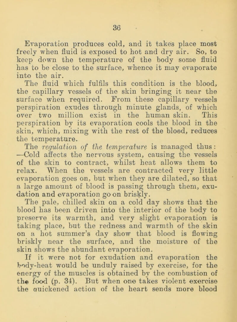 Evaporation produces cold, and it takes place most freely when fluid is exposed to hot and dry air. So, to keep down the temperature of the body some fluid has to be close to the surface, whence it may evaporate into the air. The fluid which fulfils this condition is the blood, the capillary vessels of the skin bringing it near the surface when required. From these capillary vessels perspiration exudes through minute glands, of which over twfo million exist in the human skin. This perspiration by its evaporation cools the blood in the skin, which, mixing with the rest of the blood, reduces the temperature. The requlation of the teviperature is managed thus: ■—Cold affects the nervous system, causing the vessels of the skin to contract, whilst heat allows them to relax. When the vessels are contracted very little evaporation goes on, but wrhen they are dilated, so that a large amount of blood is passing through them, exu- dation and evaporation goon briskly. The pale, chilled skin on a cold day shows that the blood has been driven into the interior of the body to preserve its warmth, and very slight evaporation is taking place, but the redness and warmth of the skin on a hot summer’s day show that blood is flowing briskly near the surface, and the moisture of the skin shows the abundant evaporation. If it were not for exudation and evaporation the body-heat would be unduly raised by exercise, for the energy of the muscles is obtained by the combustion of the food (p. 34). But w'hen one takes violent exercise the auickened action of the heart sends more blood