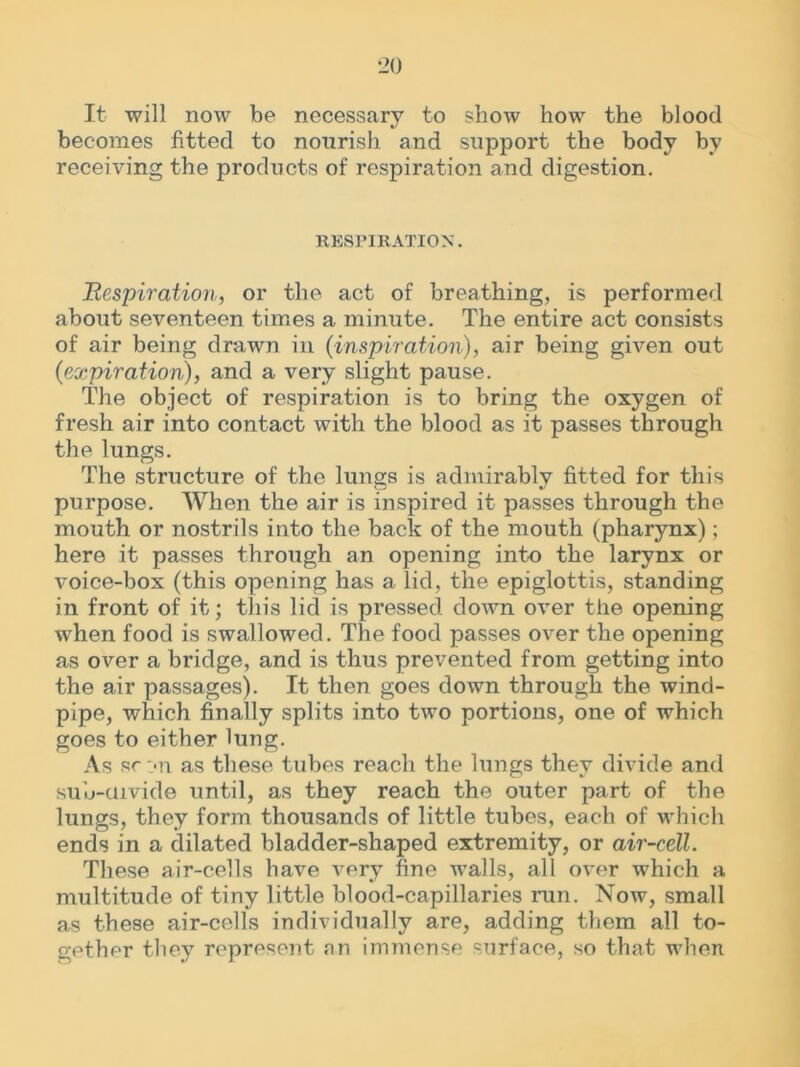 It will now be necessary to show how the blood becomes fitted to nourish and support the body by receiving the products of respiration and digestion. RESPIRATION. Respiration, or the act of breathing, is performed about seventeen times a minute. The entire act consists of air being drawn in (inspiration), air being given out (expiration), and a very slight pause. The object of respiration is to bring the oxygen of fresh air into contact with the blood as it passes through the lungs. The structure of the lungs is admirably fitted for this purpose. When the air is inspired it passes through the mouth or nostrils into the back of the mouth (pharynx); here it passes through an opening into the larynx or voice-box (this opening has a lid, the epiglottis, standing in front of it; this lid is pressed down over the opening when food is swallowed. The food passes over the opening as over a bridge, and is thus prevented from getting into the air passages). It then goes down through the wind- pipe, which finally splits into two portions, one of which goes to either lung. As sc:«n as these tubes reach the lungs they divide and sub-uivide until, as they reach the outer part of the lungs, they form thousands of little tubes, each of which ends in a dilated bladder-shaped extremity, or air-cell. These air-cells have very fine walls, all over which a multitude of tiny little blood-capillaries run. Now, small as these air-cells individually are, adding them all to- gether they represent an immense =urfaoe, so that when