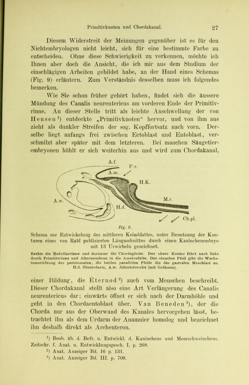 Primitivknoten und Chordakanal. Diesem Widerstreit der Meinungen gegenüber ist es für den Nichtembryologen nicht leicht, sich für eine bestimmte Farbe zu entscheiden. Ohne diese Schwierigkeit zu verkennen, möchte ich Ihnen aber doch die Ansicht, die ich mir aus dem Studium der einschlägigen Arbeiten gebildet habe, an der Hand eines Schemas (Fig. 9) erläutern. Zum Verständnis desselben muss ich folgendes bemerken. Wie Sie schon früher gehört haben, findet sich die äussere Mündung des Canalis neurentericus am vorderen Ende der Primitiv- rinne. An dieser Stelle tritt als leichte Anschwellung der von Hensen1) entdeckte „Primitivknoten“ hervor, und von ihm aus zieht als dunkler Streifen der sog. Kopffortsatz nach vorn. Der- selbe liegt anfangs frei zwischen Ectoblast und Entoblast, ver- schmilzt aber später mit dem letzteren. Bei manchen Säugetier- embryonen höhlt er sich weiterhin aus und wird zum Chordakanal, A.f. Schema zur Entwickelung des mittleren Keimblattes, unter Benutzung der Kon- turen eines von Rabl publizierten Längsschnittes durch einen Kaninchenembryo mit 13 Urwirbeln gezeichnet. Rechts die Medullarrinne und darunter die Chordaplatte. Der obere Kontur führt nach links durch Primitivrinne und Aftermembran in die Amnionfalte. Der einzelne Pfeil gibt die Wachs- tumsrichtung des peristomalen, die beiden parallelen Pfeile die des gastralen Mesoblast an. H.d. Hinterdarm, A.w. Allantoiswulst (mit Gefässen). einer Bildung, die E t e r n o d 2) auch vom Menschen beschreibt. Dieser Chordakanal stellt also eine Art Verlängerung des Canalis neurentericus dar; einwärts öffnet er sich nach der Darmhöhle und geht in den Chordaentoblast über. Van Beneden3), der die Chorda nur aus der Oberwand des Kanales hervorgehen lässt, be- trachtet ihn als dem Urdarm der Anamnier homolog und bezeichnet ihn deshalb direkt als Archenteron. *) Beob. üb. d. Befr. u. Eutwickl. d. Kaninchens uud Meerschweinchens. Zeitschr. f. Anat. u. Entwicklungsgesch. I, p. 268. 2) Anat. Anzeiger Bd. 16 p. 131. 3) Anat. Anzeiger Bd. III. p. 709.