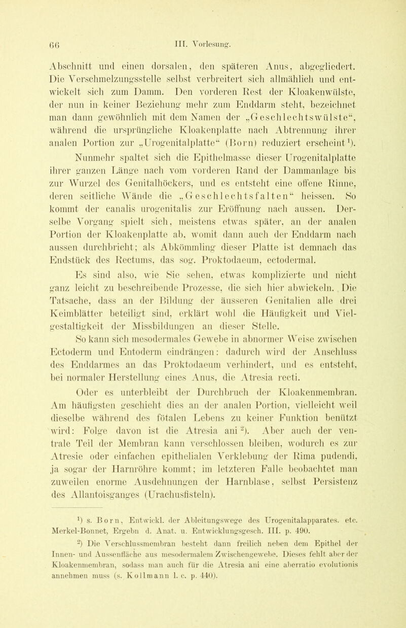 Abschnitt und einen dorsalen, den späteren Anus, abgegliedert. Die Yerschmelzungsstelle selbst verbreitert sich allmählich und ent- wickelt sich zum Damm. Den vorderen Rest der Kloakenwülste, der nun in keiner Beziehung mehr zum Enddarm steht, bezeichnet man dann gewöhnlich mit dem Namen der „GeschlechtsWülste“, während die ursprüngliche Kloakenplatte nach Abtrennung ihrer analen Portion zur „Urogenitalplatte“ (Born) reduziert erscheint1). Nunmehr spaltet sich die Epithelmasse dieser Urogenitalplatte ihrer ganzen Länge nach vom vorderen Rand der Dammanlage bis zur Wurzel des Genitalhöckers, und es entsteht eine offene Rinne, deren seitliche Wände die „Geschlechtsfalten“ heissen. So kommt der canalis urogenitalis zur Eröffnung nach aussen. Der- selbe Vorgang spielt sich, meistens etwas später, an der analen Portion der Kloakenplatte ab, womit dann auch der Enddarm nach aussen durchbricht; als Abkömmling dieser Platte ist demnach das Endstück des Rectums, das sog. Proktodaeum, ectodermal. Es sind also, wie Sie sehen, etwas komplizierte und nicht ganz leicht zu beschreibende Prozesse, die sich hier abwickeln. Die Tatsache, dass an der Bildung der äusseren Genitalien alle drei Keimblätter beteiligt sind, erklärt wohl die Häufigkeit und Viel- gestaltigkeit der Missbildungen an dieser Stelle. So kann sich mesodermales Gewebe in abnormer Weise zwischen Ectoderm und Entoderm eindrängen: dadurch wird der Anschluss des Enddarmes an das Proktodaeum verhindert, und es entsteht, bei normaler Herstellung eines Anus, die Atresia recti. Oder es unterbleibt der Durchbruch der Kloakenmembran. Am häufigsten geschieht dies an der analen Portion, vielleicht weil dieselbe während des fötalen Lebens zu keiner Funktion benützt wird: Folge davon ist die Atresia ani2). Aber auch der ven- trale Teil der Membran kann verschlossen bleiben, wodurch es zur Atresie oder einfachen epithelialen Verklebung der Rima pudendi, ja sogar der Harnröhre kommt; im letzteren Falle beobachtet man zuweilen enorme Ausdehnungen der Harnblase, selbst Persistenz des Allantoisganges (Urachusfisteln). J) s. Born, Entwickl. der Ableitungswege des Urogenitalapparates, etc. Merkel-Bonnet, Ergebn d. Anat. u. Entwicklungsgesch. III. p. 490. 2) Die Yerschlussmembran besteht dann freilich neben dem Epithel der Innen- und Ausseniläche aus mesodermalem Zwischengewebe. Dieses fehlt aber der Kloakenmembran, sodass man auch für die Atresia ani eine aberratio evolutionis annehmen muss (s. Kollmann 1. c. p. 440).