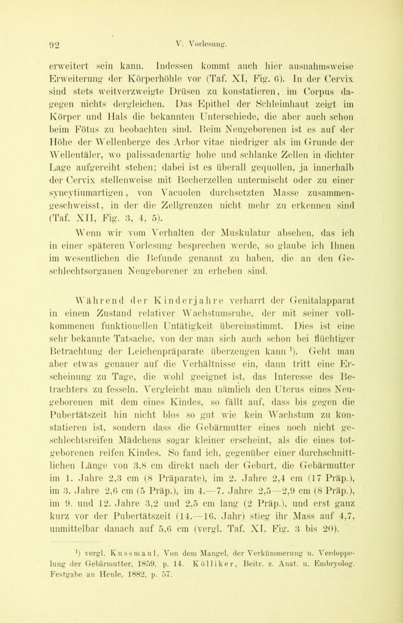 erweitert sein kann. Indessen kommt auch liier ausnahmsweise Erweiterung* der Körperhöhle vor (Taf. XI, Fig. 6). In der Cervix sind stets weitverzweigte Drüsen zu konstatieren, im Corpus da- gegen nichts dergleichen. Das Epithel der Schleimhaut zeigt im Körper und Hals die bekannten Unterschiede, die aber auch schon beim Fötus zu beobachten sind. Beim Neugeborenen ist es auf der Höhe der Wellenberge des Arbor vitae niedriger als im Grunde der Wellentäler, wo palissadenartig hohe und schlanke Zellen in dichter Lage aufgereiht stehen; dabei ist es überall gequollen, ja innerhalb der Cervix stellenweise mit Becherzellen untermischt oder zu einer syncytiumartigen, von Vacuolen durchsetzten Masse zusammen- geschweisst, in der die Zellgrenzen nicht mehr zu erkennen sind (Taf. XII, Fig. 3, I, 5). Wenn wir vom Verhalten der Muskulatur absehen, das ich in einer späteren Vorlesung besprechen werde, so glaube ich Ihnen im wesentlichen die Befunde genannt zu haben, die an den Ge- schlechtsorganen Neugeborener zu erheben sind. Während der K i n d e r j a h r e verharrt der Genitalapparat in einem Zustand relativer Wachstumsruhe, der mit seiner voll- kommenen funktionellen Untätigkeit übereinstimmt. Dies ist eine sehr bekannte Tatsache, von der man sich auch schon bei flüchtiger Betrachtung der Leichenpräparate überzeugen kann x). Geht man aber* etwas genauer auf die Verhältnisse ein, dann tritt eine Er- scheinung zu Tage, die wohl geeignet ist, das Interesse des Be- trachters zu fesseln. Vergleicht man nämlich den Uterus eines Neu- geborenen mit dem eines Kindes, so fällt auf, dass bis gegen die Pubertätszeit hin nicht blos so gut wie kein Wachstum zu kon- statieren ist, sondern dass die Gebärmutter eines noch nicht ge- schlechtsreifen Mädchens sogar kleiner erscheint, als die eines tot- geborenen reifen Kindes. So fand ich, gegenüber einer durchschnitt- lichen Länge von 3,8 cm direkt nach der Geburt, die Gebärmutter im 1. Jahre 2,3 cm (8 Präparate), im 2. Jahre 2,4 cm (17 Präp.), im 3. Jahre 2,6 cm (5 Präp.), im 4.—7. Jahre 2,5—2,9 cm (8 Präp.), im 9. und 12. Jahre 3,2 und 2,5 cm lang (2 Präp.), und erst ganz kurz vor der Pubertätszeit (14.—16. Jahr) stieg ihr Mass auf 4,7, unmittelbar danach auf 5,6 cm (vergl. Taf. XI, Fig. 3 bis 20). 0 vergl. Kuss maul, Von dem Mangel, der Verkümmerung u. Verdoppe- lung der Gebärmutter, 1859, p. 14. Kölliker, Beitr. z. Anat. u. Embryolog. Festgabe an Henle, 1882, p. 57.