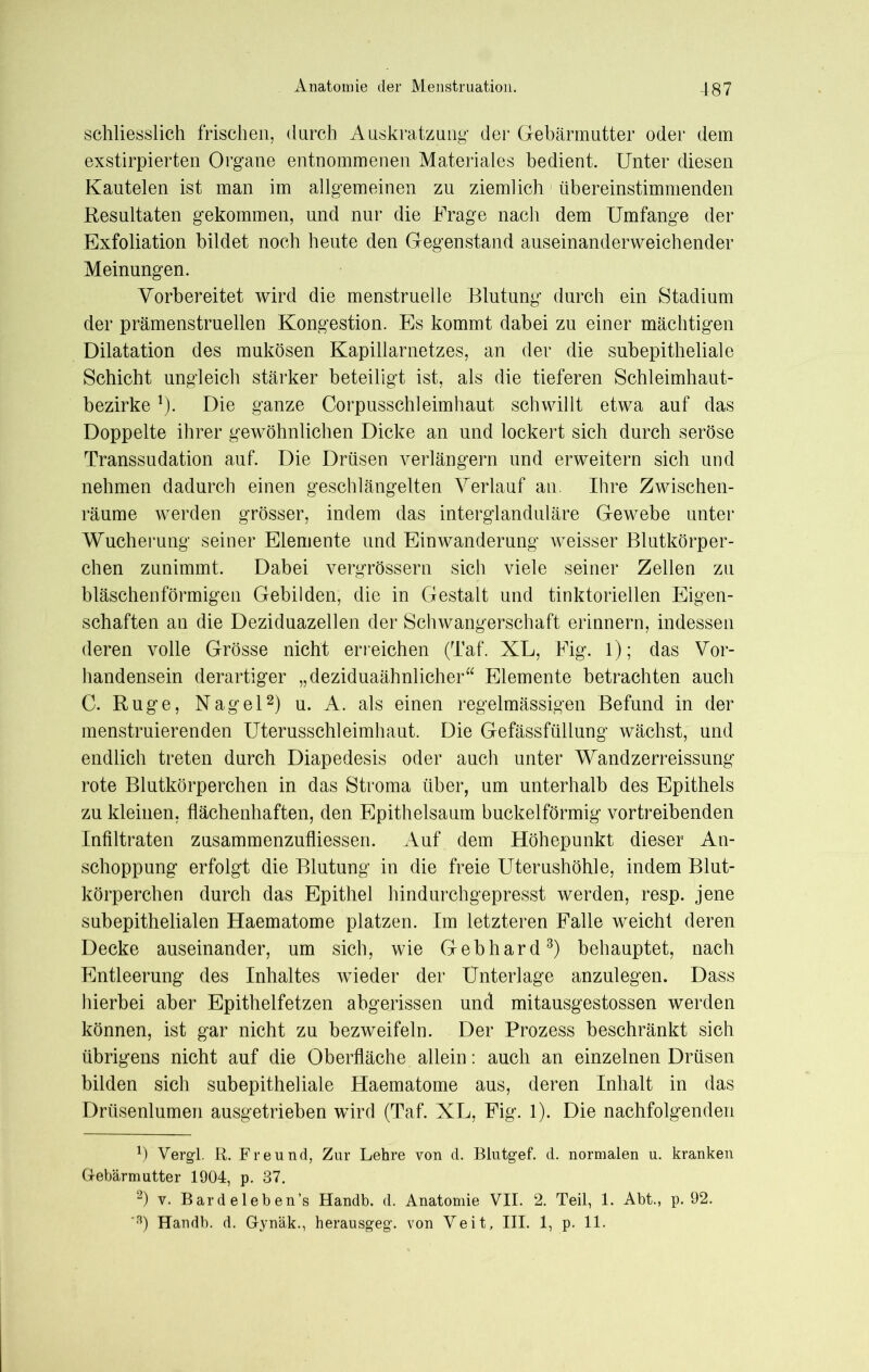 schliesslich frischen, durch Auskratzung* der Gebärmutter oder dem exstirpierten Organe entnommenen Materiales bedient. Unter diesen Kautelen ist man im allgemeinen zu ziemlich übereinstimmenden Resultaten gekommen, und nur die Frage nach dem Umfange der Exfoliation bildet noch heute den Gegenstand auseinanderweichender Meinungen. Vorbereitet wird die menstruelle Blutung durch ein Stadium der prämenstruellen Kongestion. Es kommt dabei zu einer mächtigen Dilatation des mukösen Kapillarnetzes, an der die subepitheliale Schicht ungleich stärker beteiligt ist, als die tieferen Schleimhaut- bezirke ]). Die ganze Corpusschleimhaut schwillt etwa auf das Doppelte ihrer gewöhnlichen Dicke an und lockert sich durch seröse Transsudation auf. Die Drüsen verlängern und erweitern sich und nehmen dadurch einen geschlängelten Verlauf an. Ihre Zwischen- räume werden grösser, indem das interglanduläre Gewebe unter Wucherung seiner Elemente und Einwanderung wmisser Blutkörper- chen zunimmt. Dabei vergrössern sich viele seiner Zellen zu bläschenförmigen Gebilden, die in Gestalt und tinktoriellen Eigen- schaften au die Deziduazellen der Schwangerschaft erinnern, indessen deren volle Grösse nicht erreichen (Taf. XL, Fig. 1); das Vor- handensein derartiger „deziduaähnlicher“ Elemente betrachten auch C. Rüge, Nagel* 2) u. A. als einen regelmässigen Befund in der menstruierenden Uterusschleimhaut. Die Gefässfüllung wächst, und endlich treten durch Diapedesis oder auch unter Wandzerreissung rote Blutkörperchen in das Stroma über, um unterhalb des Epithels zu kleinen, flächenhaften, den Epithelsaum buckelförmig vortreibenden Infiltraten zusammenzufliessen. Auf dem Höhepunkt dieser An- schoppung erfolgt die Blutung in die freie Uterushöhle, indem Blut- körperchen durch das Epithel hindurchgepresst werden, resp. jene subepithelialen Haematome platzen. Im letzteren Falle weicht deren Decke auseinander, um sich, wie Gebhard3) behauptet, nach Entleerung des Inhaltes wieder der Unterlage anzulegen. Dass hierbei aber Epithelfetzen abgerissen und mitausgestossen werden können, ist gar nicht zu bezweifeln. Der Prozess beschränkt sich übrigens nicht auf die Oberfläche allein: auch an einzelnen Drüsen bilden sich subepitheliale Haematome aus, deren Inhalt in das Drüsenlumen ausgetrieben wird (Taf. XL, Fig. 1). Die nachfolgenden *) Vergl. R. Freund, Zur Lehre von d. Blutgef. d. normalen u. kranken Gebärmutter 1904, p. 37. 2) v. Bardeleben’s Handb. d. Anatomie VII. 2. Teil, 1. Abt., p. 92. *3) Handb. d. Gynäk., herausgeg. von Veit, III. 1, p. 11.