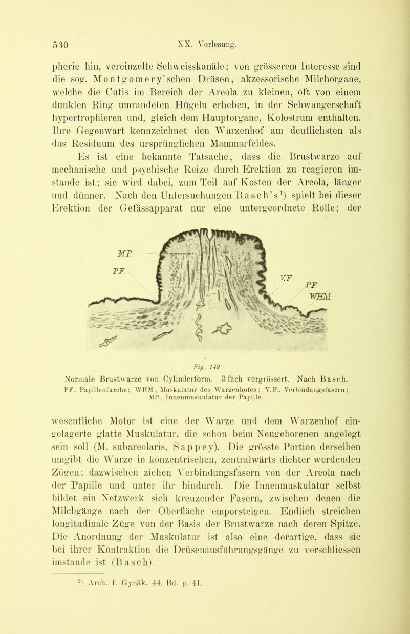 pherie hin, vereinzelte Schweisskanäle; von grösserem Interesse sind die sog. Montgomery’sehen Drüsen, akzessorische Milchorgane, welche die Cutis im Bereich der Areola zu kleinen, oft von einem dunklen Ring umrandeten Hügeln erheben, in der Schwangerschaft hypertrophieren und, gleich dem Hauptorgane, Kolostrum enthalten. Ihre Gegenwart kennzeichnet den Warzenhof am deutlichsten als das Residuum des ursprünglichen Mammarfeldes. Es ist eine bekannte Tatsache, dass die Brustwarze auf mechanische und psychische Reize durch Erektion zu reagieren im- stande ist; sie wird dabei, zum Teil auf Kosten der Areola, länger und dünner. Nach den Untersuchungen Basch’s1) spielt bei dieser Erektion der Gefässapparat nur eine untergeordnete Rolle; der Fig. 149. Normale Brustwarze von Cylmderform. 3fach vergrössert. Nach Basch. PF., Papillenfurche; WHM , Muskulatur des Warzenhofes; V.F., Verbindungsfasern; MP.. Innenmuskulatur der Papille. wesentliche Motor ist eine der Warze und dem Warzenhof ein- gelagerte glatte Muskulatur, die schon beim Neugeborenen angelegt sein soll (M. subareolaris, Sappey). Die grösste Portion derselben umgibt die Warze in konzentrischen, zentralwärts dichter werdenden Zügen; dazwischen ziehen Verbindungsfasern von der Areola nach der Papille und unter ihr hindurch. Die Innenmuskulatur selbst bildet ein Netzwerk sich kreuzender Fasern, zwischen denen die Milchgänge nach der Oberfläche emporsteigen. Endlich streichen longitudinale Züge von der Basis der Brustwarze nach deren Spitze. Die Anordnung der Muskulatur ist also eine derartige, dass sie bei ihrer Kontraktion die Drüsenausführungsgänge zu verschliessen imstande ist (Basch).