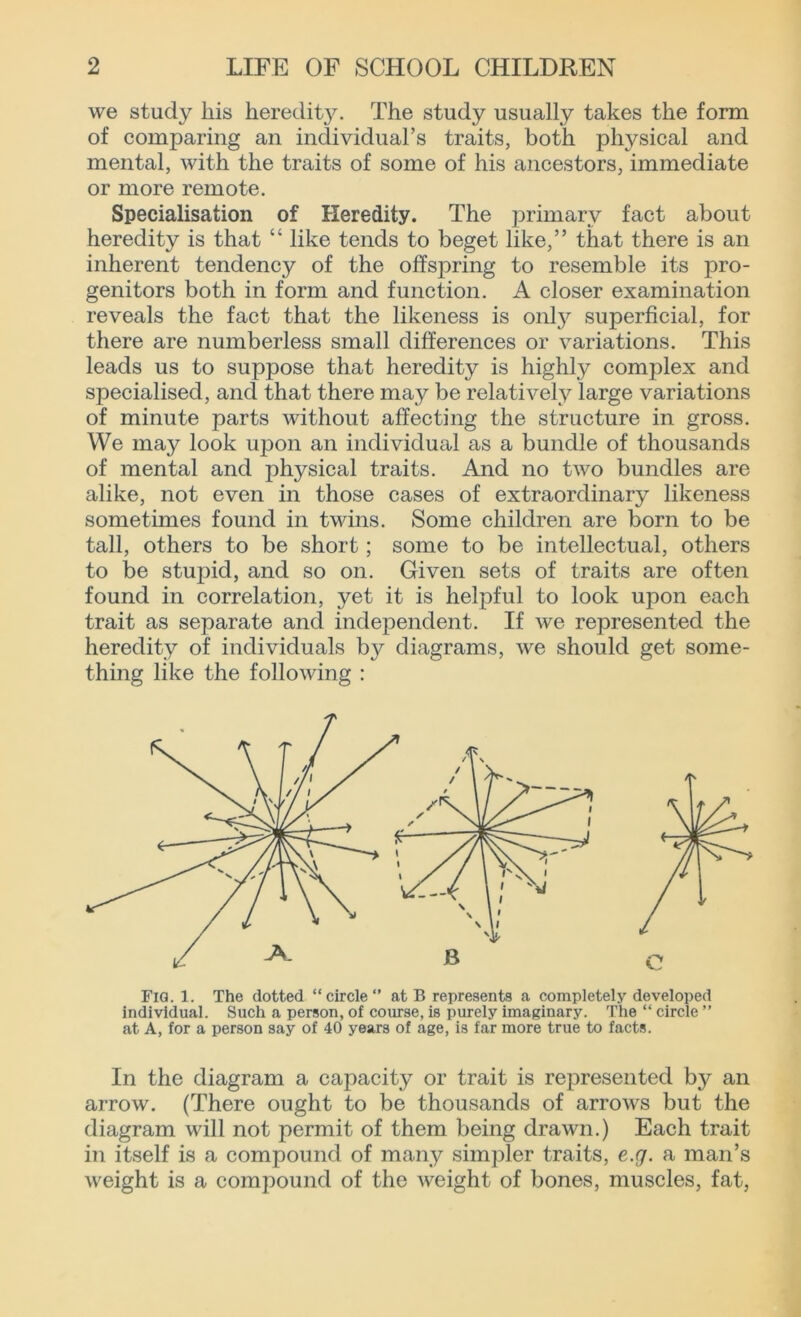 we study his heredity. The study usually takes the form of comparing an individual’s traits, both physical and mental, with the traits of some of his ancestors, immediate or more remote. Specialisation of Heredity. The primary fact about heredity is that “ like tends to beget like,” that there is an inherent tendency of the offspring to resemble its pro- genitors both in form and function. A closer examination reveals the fact that the likeness is only superficial, for there are numberless small differences or variations. This leads us to suppose that heredity is highly complex and specialised, and that there may be relatively large variations of minute parts without affecting the structure in gross. We may look upon an individual as a bundle of thousands of mental and physical traits. And no two bundles are alike, not even in those cases of extraordinary likeness sometimes found in twins. Some children are born to be tall, others to be short; some to be intellectual, others to be stupid, and so on. Given sets of traits are often found in correlation, yet it is helpful to look upon each trait as separate and independent. If we represented the heredity of individuals by diagrams, we should get some- thing like the following : Fig. 1. The dotted “circle at B represents a completely developed individual. Such a person, of course, is purely imaginary. The “ circle ” at A, for a person say of 40 years of age, is far more true to facts. In the diagram a capacity or trait is represented by an arrow. (There ought to be thousands of arrows but the diagram will not permit of them being drawn.) Each trait in itself is a compound of many simpler traits, e.g. a man’s weight is a compound of the weight of bones, muscles, fat,