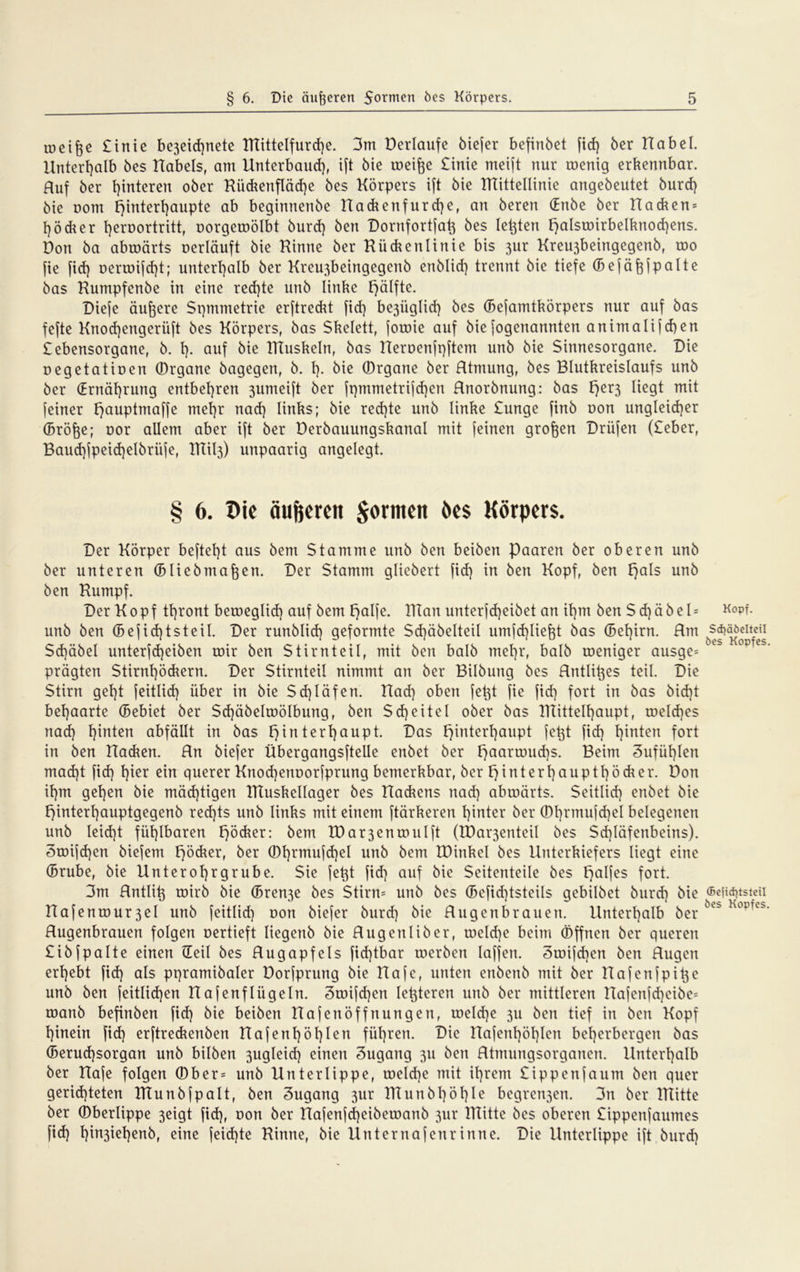 reifte £ in t c be3eid)nete tTtitteIfurd)e. 3m Herlaufe öiefer befinöet fid) 6er Habel. Unterhalb 6es Habels, am Unterbaud), ift 6ie toeifte £inie meift nur toenig erkennbar. Huf 6er Hinteren o6er Küchenflädje 6es Körpers ift 6ie HTittellinie ange6eutet 6urd) 6ie oom f)intert)aupte ab beginnenbe Hackenfurrf)e, an 6eren (Enöe 6er Hacken* f)öd*er fyeroortritt, oorgeroölbt 6urd) 6en Dornfortfaft 6es leftten FjalstDirbeIknod)ens. Hon 6a abroärts uerläuft 6ie Kinne 6er Kückenlinie bis 3ur Kreu3beingegen6, roo fie fid) nertoijd)t; unterhalb 6er Kreu3beingegen6 en6Iid) trennt 6ie tiefe (Befäftf palte 6as Kumpfen6e in eine red)te un6 linke Hälfte. Diefe duftere Symmetrie erftreckt fid) be3üglid) 6es (Befamtkörpers nur auf 6as fefte Knod)engerüft 6es Körpers, 6as Skelett, fotoie auf 6ie[ogenannten animalifchen £ebensorgane, 6. t). auf öie IKuskeln, 6as Heroenfpftem unö öie Sinnesorgane. Die oegetatioen (Drgane öagegen, 6. t). öie ©rgane 6er Htmung, öes Blutkreislaufs unö 6er (Ernährung entbehren 3umeift 6er ft)mmetrifd)en Hnorönung: 6as F>er3 liegt mit [einer t)auptmaffe mef)r nad) links; öie red)te unö linke £unge finö oon ungleicher (Bröfte; nor allem aber ift 6er Beröauungskanal mit feinen groften Drüfen (£eber, Baud)fpeid)el6ri'ife, IKÜ3) unpaarig angelegt. § 6. Die äußeren formen öes Körpers. Der Körper beftetjt aus 6em Stamme unö Öen beiöen Paaren 6er oberen unö 6er unteren (Blieömaften. Der Stamm glieöert fid) in Öen Kopf, Öen t)als unö Öen Kumpf. Der K 0 p f thront betoeglid) auf öem Hälfe. IKan unterfd)eiöet an it)m Öen S d) ä 6 e l = unö Öen (Befid)tsteil. Der runölid) geformte Sdjäöelteil umfd)lieftt öas (Bet)irn. Hm Sd)äöel unterjd)eiöen mir Öen Stirnteil, mit öen balö mehr, balö roeniger ausge* prägten Stirnt)öckern. Der Stirnteil nimmt an öer Bilöung öes Hntliftes teil. Die Stirn get)t feitlid) über in öie $d)Iäfen. Had) oben fet^t fie fid) fort in öas öid)t behaarte (Bebiet öer Sd)äöeltoöIbungf Öen Scheitel oöer öas IKittelhaupt, roeldjes nad) h^ien abfällt in öas Hinterhaupt. Das Hinterhaupt fe^t fid) hinten fort in Öen Hacken. Hn öiefer Übergangsftelle enöet öer Haartnud)s. Beim 3ufüf)len mad)t fid) hier ein querer Knod)enoorjprung bemerkbar, öer Hin tert)auptl)ö di er. Hon ihm gehen öie mächtigen IKuskellager öes Hackens nad) abroärts. Seitlid) enöet öie Hinterhauptgegenö red)ts unö links mit einem ftärkeren hinter öer CDl)rmufd)el belegenen unö Ieid)t fühlbaren Hö&er: öem XHar3enrouIft (tHai’3enteil öes Schläfenbeins). 3toijd)en öiejem Höcker, öer ®hrmnfd)el unö öem IHinkel öes Unterkiefers liegt eine (Brube, öie Unterohrgrübe. Sie feftt fid) auf öie Seitenteile öes HQtfes fort. 3m Hntlift toirö öie (Bren3e öes Stirn* unö öes (Befid)tsteils gebilöct öurd) öie Hafenrour3el unö feitlid) oon öiefer öurd) öie Hugenbrauen. Unterhalb öer Hugenbrauen folgen oertieft liegenö öie Hugenliöer, toeld)e beim Öffnen öer queren £iöfpalte einen (Xeil öes Hugapfels fid)tbar roeröert laffeit. 3toifd)en öen Hugen erhebt fid) als ppramiöaler Horfprung öie Hafe, unten enöenö mit öer Hafenfpifte unö öen feitlid)en Hafenflügeln. 3roifd)en letzteren unö öer mittleren Hafenfd)eiöe= roanö befinöen fid) öie beiöen Hafenöffnungen, roeld)e 311 öen tief in öen Kopf hinein fid) erftreckenöen Hafenhöhlen führen. Die Hafenl)öhlen beherbergen öas (Berud)sorgan unö bilöen 3ugleid) einen Zugang 311 öen Htmungsorganen. Unterhalb öer Hafe folgen (Dber* unö Unterlippe, toeld)e mit ihrem £ippenfaum öen quer gerichteten IKunöfpalt, öen Zugang 3ur TTtunöl)öhle begren3en. 3n öer ITIitte öer (Dberlippe 3eigt fid), oon öer Hajenfd)eiöeroanö 3ur Hütte öes oberen £ippenfaumes fid) hfn3^hen^r eine feid)te Kinne, öie Unternafenrinne. Die Unterlippe ift öurd) Kopf. Sdjäöelteil öes Kopfes. ®ejid)tsteil öes Kopfes.