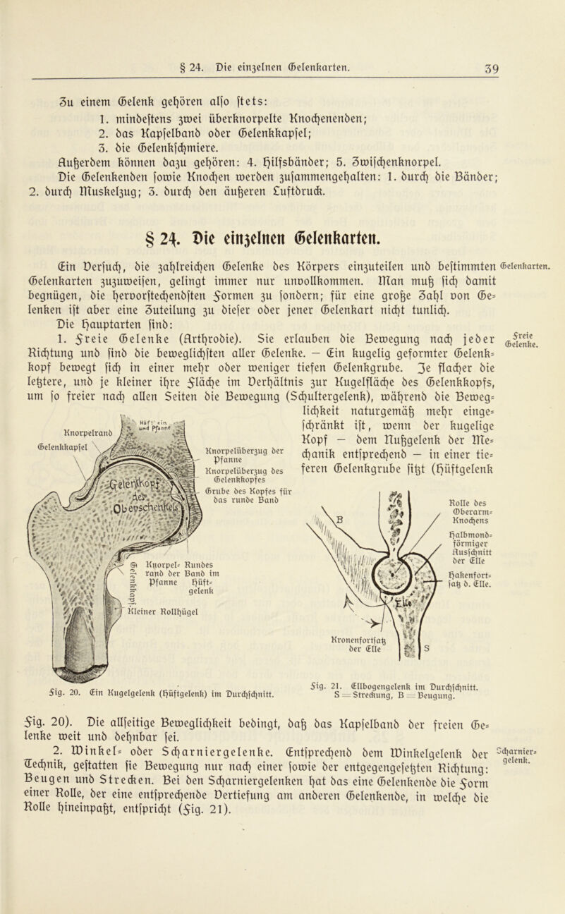 3u einem ©elenk gehören al[o ftets: 1. minbeftens 3toei iiberknorpelte Knocfyenenben; 2. bas Kapjelbanb ober ©elenkkapfel; 3. bie ©elenkfd)miere. Rufterbem können ba3U gehören: 4. F>üfsbänber; 5. 3wifd)enknorpel. Die ©elenkenben joroie Knod)en werben 3ufammengel)alten: 1. burd) bie Bänber; 2. burd) BTuske^ug; 3. burd) ben äußeren Suftbruck. 2\. Die eiitjdnen ©elenftarteit. (Ein Derfud), bie 3al)lreid)en ©elenke bes Körpers ehppiteilen unb beftimmten ©elenkarten 3U3uweijen, gelingt immer nur unoollkommen. IKan mu^ fid) bamit begnügen, bie t)err>orfted)enbften 5ormen 3u fonbern; für eine große 3at)I oon (5e= lenken ift aber eine Zuteilung 311 biefer ober jener ©elenkart nid)t tunlid). Die f^auptarten finb: 1. 5reie ©elenke (Rrtßrobie). Sie erlauben bie Beroegung nad) jeber Kid)tung unb finb bie beroeglid)ften aller ©elenke. — ©in kugelig geformter ©elenk= köpf beroegt fid) in einer mel)r ober weniger tiefen ©elenkgrube. 3e flacher bie leßtere, unb je kleiner il)re ^Iäd)e im Derf)ältnis 3ur KugeIfTäd)e bes ©elenkkopfs, um jo freier nad) allen Seiten bie Beroegung (Sd)ultergelenk), roäl)renb bie Beweg= Iid)keit naturgemäß mel)r einge= [d)ränkt ift, roenn ber kugelige Kopf — bem Hüftgelenk ber 2TTe= d)anik entfpred)enb — in einer tie= feren ©elenkgrube fiftt (Hüftgelenk Knorpelranb ©elenkkapfel KnorpeIüber3ug 6er Pfanne Knorpelüber3ug bes ©elenkkopfes ffirube öes Kopfes für 6as runbe Banb KnorpeB Hunbes ranb ber Banb im Pfanne Fjüf t= gelenk j Kleiner Rollfyügel Rolle bes ©berarm= Knotens f)aIbmonb= förmiger flusfdjnitt ber (Elle Fjakenfort= fa$ b. (Elle. 5ig. 20. (Ein Kugelgelenk (Fjüftgelenk) im Durd)fd]nitt. Kronenfortfatj ber (Elle 5ig. 21. (Ellbogengelenk im t>urd}fd)nitt. S —Streckung, B —Beugung. 5*9- 20)- Ede allfeitige BeroegIid)keit bebingt, baft bas Kapjelbanb ber freien ©e= lenke weit unb bel)nbar fei. 2. H)inkel= ober Sd)arniergelenke. (Entfpred)ertb bem IDinkelgelenk ber ©ed)nik, geftatten fie Bewegung nur nad) einer jowie ber entgegengefeftten Kid)tung: Beugen unb Strecken. Bei ben Sd)arniergelenkcn l)at bas eine ©elenkenbe bie 5orm einer Holle, ber eine entfpredjenbe üertiefung am anberen ©elenkenbe, in weld)e bie Holle l)ineinpaftt, entjprid)t ($ig. 21). ©elenkarten. 5reie ©elenke. jd)arnier= gelenk.