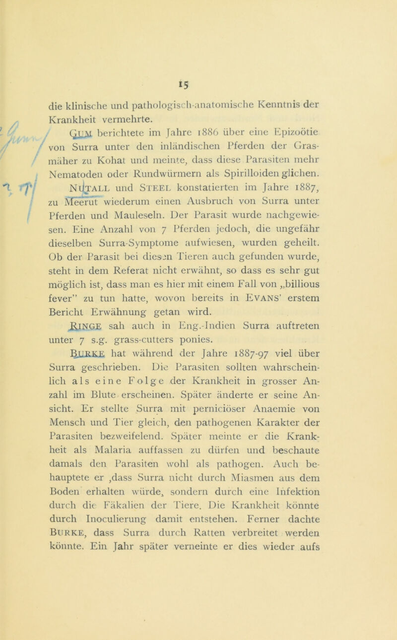 die klinische und pathologisch-anatomische Kenntnis der Krankheit vermehrte. Qjjm berichtete im Jahre 1886 über eine Epizoötie von Surra unter den inländischen Pferden der Gras- mäher zu Kohat und meinte, dass diese Parasiten mehr Nematoden oder Rundwürmern als Spirilloiden glichen. NiJtall und Steel konstatierten im Jahre 1887, zu Meerut wiederum einen Ausbruch von Surra unter Pferden und Mauleseln. Der Parasit wurde nachgewie- sen. Eine Anzahl von 7 Pferden jedoch, die ungefähr dieselben Surra-Symptome aufwiesen, wurden geheilt. Ob der Parasit bei diesen Tieren auch gefunden wurde, steht in dem Referat nicht erwähnt, so dass es sehr gut möglich ist, dass man es hier mit einem Fall von „billious fever” zu tun hatte, wovon bereits in Evans’ erstem Bericht Erwähnung getan wird. iliNGE sah auch in Eng.-Indien Surra auftreten unter 7 s.g. grass-cutters ponies. BJLLRKE bat während der Jahre 1887-97 viel über Surra geschrieben. Die Parasiten sollten wahrschein- lich als eine Folge der Krankheit in grosser An- zahl im Blute erscheinen. Später änderte er seine An- sicht. Er stellte Surra mit perniciöser Anaemie von Mensch und Tier gleich, den pathogenen Karakter der Parasiten bezweifelend. Später meinte er die Krank- heit als Malaria auffassen zu dürfen und beschaute damals den Parasiten wohl als pathogen. Auch be- hauptete er ,dass Surra nicht durch Miasmen aus dem Boden erhalten würde, sondern durch eine Infektion durch die Fäkalien der Tiere. Die Krankheit könnte durch Inoculierung damit entstehen. Ferner dachte Burke, dass Surra durch Ratten verbreitet werden könnte. Ein Jahr später verneinte er dies wieder aufs