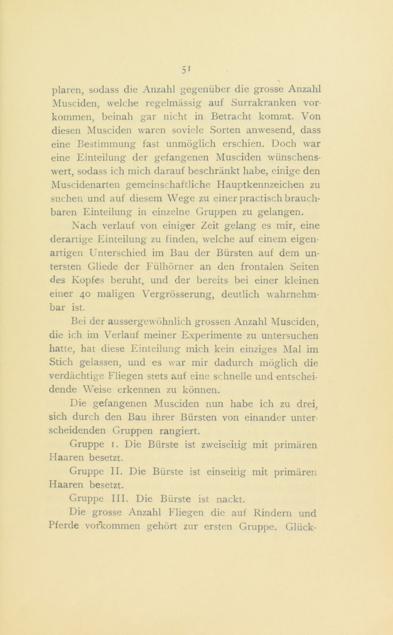 plaren, sodass die Anzahl gegenüber die grosse Anzahl Musciden, welche regelmässig auf Surrakranken vor- kommen, beinah gar nicht in Betracht kommt. Von diesen Musciden waren soviele Sorten anwesend, dass eine Bestimmung fast unmöglich erschien. Doch war eine Einteilung der gefangenen Musciden wünschens- wert, sodass ich mich darauf beschränkt habe, einige den Muscidenarten gemeinschaftliche Hauptkennzeichen zu suchen und auf diesem Wege zu einer practisch brauch- baren Einteilung in einzelne Gruppen zu gelangen. Nach verlauf von einiger Zeit gelang es mir, eine derartige Einteilung zu finden, welche auf einem eigen- artigen Unterschied im Bau der Bürsten auf dem un- tersten Gliede der Fülhörner an den frontalen Seiten des Kopfes beruht, und der bereits bei einer kleinen einer 40 maligen Vergrösserung, deutlich wahrnehm- bar ist. Bei der aussergewöhnlich grossen Anzahl Musciden, die ich im Verlauf meiner Experimente zu untersuchen hatte, hat diese Einteilung mich kein einziges Mal im Stich gelassen, und es war mir dadurch möglich die verdächtige Fliegen stets auf eine schnelle und entschei- dende Weise erkennen zu können. Die gefangenen Musciden nun habe ich zu drei, sich durch den Bau ihrer Bürsten von einander unter- scheidenden Gruppen rangiert. Gruppe 1. Die Bürste ist zweiseitig mit primären Haaren besetzt. Gruppe II. Die Bürste ist einseitig mit primären Haaren besetzt. Gruppe III. Die Bürste ist nackt. Die grosse Anzahl Fliegen die auf Rindern und Pferde Vorkommen gehört zur ersten Gruppe. Glück-