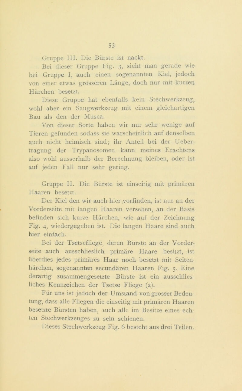 Gruppe III. Die Bürste ist nackt. Bei dieser Gruppe Fig. 3, sieht man gerade wie bei Gruppe I, auch einen sogenannten Kiel, jedoch von einer etwas grösseren Länge, doch nur mit kurzen Härchen besetzt. Diese Gruppe hat ebenfalls kein Stechwerkzeug, wohl aber ein Saugwerkzeug mit einem gleichartigen Bau als den der Musca. Von dieser Sorte haben wir nur sehr wenige auf Tieren gefunden sodass sie warscheinlich auf denselben auch nicht heimisch sind; ihr Anteil bei der Ueber- tragung der Trypanosomen kann meines Erachtens also wohl ausserhalb der Berechnung bleiben, oder ist auf jeden Fall nur sehr gering. Gruppe II. Die Bürste ist einseitig mit primären Haaren besetzt. Der Kiel den wir auch hier .vorfinden, ist nur an der Vorderseite mit langen Haaren versehen, an der Basis befinden sich kurze Härchen, wie auf der Zeichnung Fig. 4, wiedergegeben ist. Die langen Flaare sind auch hier einfach. Bei der Tsetsefliege, deren Bürste an der Vorder- seite auch ausschlieslich primäre Haare besitzt, ist überdies jedes primäres Haar noch besetzt mit Seiten- härchen, sogenannten secundären Haaren Fig. 5. Eine derartig zusammengesetzte Bürste ist ein ausschlies- liches Kennzeichen der Tsetse Fliege (2). Für uns ist jedoch der Umstand von grosser Bedeu- tung, dass alle Fliegen die einseitig mit primären Haaren besetzte Bürsten haben, auch alle im Besitze eines ech- ten Stechwerkzeuges zu sein schienen.