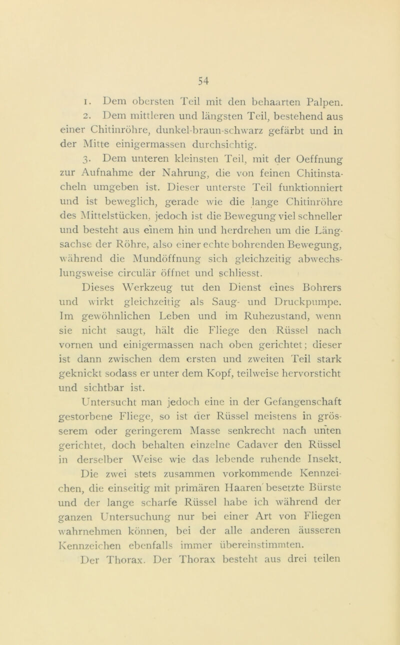 1. Dem obersten Teil mit den behaarten Palpen. 2. Dem mittleren und längsten Teil, bestehend aus einer Chitinröhre, dunkel-braun-schwarz gefärbt und in der Mitte einigermassen durchsichtig. 3. Dem unteren kleinsten Teil, mit der Oeffnung zur Aufnahme der Nahrung, die von feinen Chitinsta- cheln umgeben ist. Dieser unterste Teil funktionniert und ist beweglich, gerade wie die lange Chitinröhre des Mittelstücken, jedoch ist die Bewegung viel schneller und besteht aus einem hin und herdrehen um die Läng- sachse der Röhre, also einer echte bohrenden Bewegung, während die Mundöffnung sich gleichzeitig abwechs- lungsweise circulär öffnet und schliesst. Dieses Werkzeug tut den Dienst eines Bohrers und wirkt gleichzeitig als Saug- und Druckpumpe. Im gewöhnlichen Leben und im Ruhezustand, wenn sie nicht saugt, hält die Fliege den Rüssel nach vornen und einigermassen nach oben gerichtet; dieser ist dann zwischen dem ersten und zweiten Teil stark geknickt sodass er unter dem Kopf, teilweise hervorsticht und sichtbar ist. Untersucht man jedoch eine in der Gefangenschaft gestorbene Fliege, so ist der Rüssel meistens in grös- serem oder geringerem Masse senkrecht nach unten gerichtet, doch behalten einzelne Cadaver den Rüssel in derselber Weise wie das lebende ruhende Insekt. Die zwei stets zusammen vorkommende Kennzei- chen, die einseitig mit primären Haaren besetzte Bürste und der lange scharfe Rüssel habe ich während der ganzen Untersuchung nur bei einer Art von Fliegen wahrnehmen können, bei der alle anderen äusseren Kennzeichen ebenfalls immer übereinstimmten. Der Thorax. Der Thorax besteht aus drei teilen