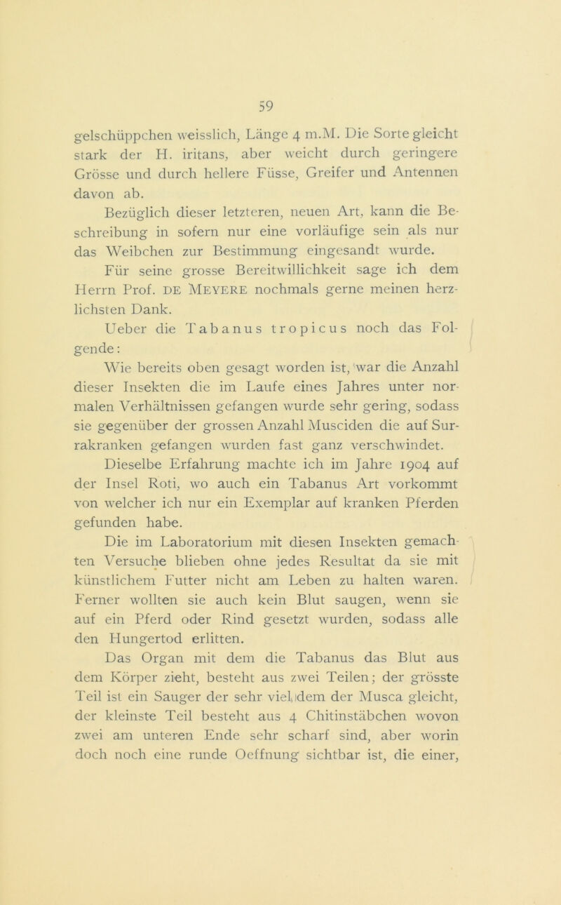 gelschüppchen weisslich, Länge 4 m.M. Die Sorte gleicht stark der H. iritans, aber weicht durch geringere Grösse und durch hellere Fiisse, Greifer und Antennen davon ab. Bezüglich dieser letzteren, neuen Art, kann die Be- schreibung in sofern nur eine vorläufige sein als nur das Weibchen zur Bestimmung eingesandt wurde. Für seine grosse Bereitwillichkeit sage ich dem Herrn Prof. DE Meyere nochmals gerne meinen herz- lichsten Dank. Ueber die Tabanus tropicus noch das Fol- gende : Wie bereits oben gesagt worden ist, 'war die Anzahl dieser Insekten die im Laufe eines Jahres unter nor- malen Verhältnissen gefangen wurde sehr gering, sodass sie gegenüber der grossen Anzahl Musciden die auf Sur- rakranken gefangen wurden fast ganz verschwindet. Dieselbe Erfahrung machte ich im Jahre 1904 auf der Insel Roti, wo auch ein Tabanus Art vorkommt von welcher ich nur ein Exemplar auf kranken Pferden gefunden habe. Die im Laboratorium mit diesen Insekten gemach- ten Versuche blieben ohne jedes Resultat da sie mit künstlichem Futter nicht am Leben zu halten waren. Ferner wollten sie auch kein Blut saugen, wenn sie auf ein Pferd oder Rind gesetzt wurden, sodass alle den Hungertod erlitten. Das Organ mit dem die Tabanus das Blut aus dem Körper zieht, besteht aus zwei Teilen; der grösste Teil ist ein Sauger der sehr viel idem der Musca gleicht, der kleinste Teil besteht aus 4 Chitinstäbchen wovon zwei am unteren Ende sehr scharf sind, aber worin doch noch eine runde Oeffnung sichtbar ist, die einer,