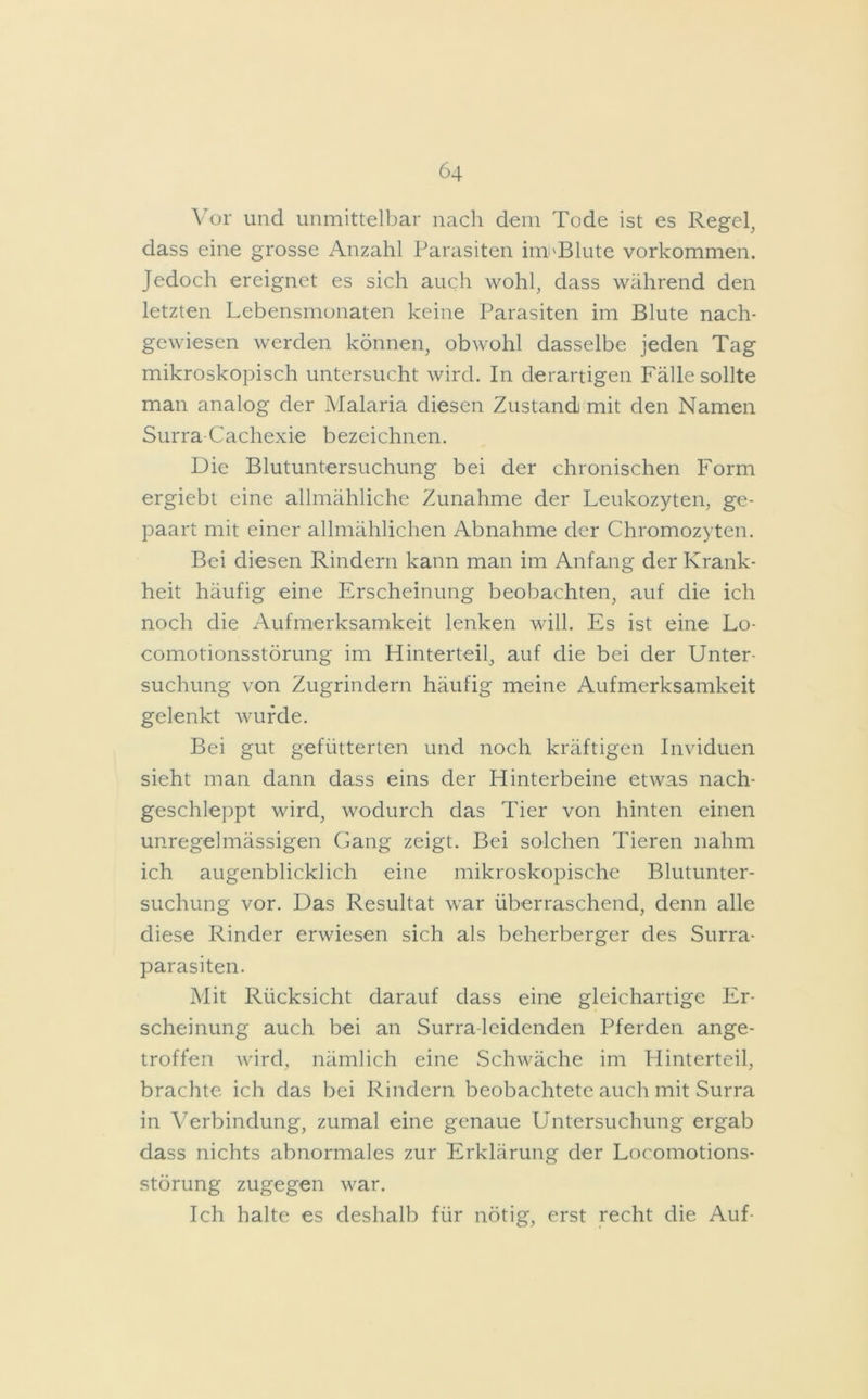 Vor und unmittelbar nach dem Tode ist es Regel, dass eine grosse Anzahl Parasiten imJ'Blute Vorkommen. Jedoch ereignet es sich auch wohl, dass während den letzten Lebensmonaten keine Parasiten im Blute nach- gewiesen werden können, obwohl dasselbe jeden Tag mikroskopisch untersucht wird. In derartigen Fälle sollte man analog der Malaria diesen Zustand mit den Namen Surra-Cachexie bezeichnen. Die Blutuntersuchung bei der chronischen Form ergiebt eine allmähliche Zunahme der Leukozyten, ge- paart mit einer allmählichen Abnahme der Chromozyten. Bei diesen Rindern kann man im Anfang der Krank- heit häufig eine Erscheinung beobachten, auf die ich noch die Aufmerksamkeit lenken will. Es ist eine Lo- comotionsstörung im Hinterteil, auf die bei der Unter- suchung von Zugrindern häufig meine Aufmerksamkeit gelenkt wurde. Bei gut gefütterten und noch kräftigen Inviduen sieht man dann dass eins der Hinterbeine etwas nach- geschleppt wird, wodurch das Tier von hinten einen unregelmässigen Gang zeigt. Bei solchen Tieren nahm ich augenblicklich eine mikroskopische Blutunter- suchung vor. Das Resultat war überraschend, denn alle diese Rinder erwiesen sich als beherberger des Surra- parasiten. Mit Rücksicht darauf dass eine gleichartige Er- scheinung auch bei an Surra-leidenden Pferden ange- troffen wird, nämlich eine Schwäche im Hinterteil, brachte ich das bei Rindern beobachtete auch mit Surra in Verbindung, zumal eine genaue Untersuchung ergab dass nichts abnormales zur Erklärung der Locomotions- störung zugegen war. Ich halte es deshalb für nötig, erst recht die Auf-