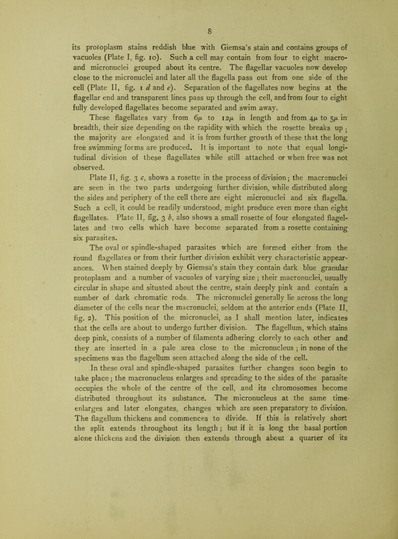 its proloplasm stains reddish blue i\dth Giemsa’s stain and contains groups of vacuoles (Plate I, fig. lo). Such a cell may contain from four to eight macro- and micronuclei grouped about its centre. The flagellar vacuoles now develop close to the micronuclei and later all the flagella pass out from one side of the cell (Plate II, fig. i d and e). Separation of the flagellates now begins at the flagellar end and transparent lines pass up through the cell, and from four to eight fully developed flagellates become separated and swim away. These flagellates vary from 6yx to i2[Ji in length and from 4/x to in breadth, their size depending on the rapidity with which the rosette breaks up . the majority are elongated and it is from further growth of these that the long free swimming forms are produced. It is important to note that equal longi- tudinal division of these flagellates while still attached or when free was not observed. Plate II, fig. 3 c, shows a rosette in the process of division; the macrcnuclei are seen In the two parts undergoing further division, while distributed along the sides and periphery of the cell there are eight micronuclei and six flagella. Such a cell, it could be readily understood, might produce even more than eight flagellates. Plate II, fig. 3 b, also shows a small rosette of four elongated flagel- lates and two cells which have become separated from a rosette containing six parasites. The oval or spindle-shaped parasites which are formed either from the round flagellates or from their further division exhibit very characteristic appear- ances. When stained deeply by Giemsa’s stain they contain dark blue granular protoplasm and a number of vacuoles of varying size ; their macronuclei, usually circular in shape and situated about the centre, stain deeply pink and contain a number of dark chromatic rods. The micronuclei generally lie across the long diameter of the cells near the macronuclei, seldom at the anterior ends (Plate II, fig. 2). This position of the micronuclei, as I shall mention later, Indicates that the cells are about to undergo further division. The flagellum, which stains deep pink, consists of a nurnber of filaments adhering closely to each other and they are inserted in a pale area close to the micronucleus ; in none of the specimens was the flagellum seen attached along the side of the cell. In these oval and spindle-shaped parasites further changes soon begin to take place; the macronucleus enlarges and spreading to the sides of the parasite occupies the whole of the centre of the cell, and its chromosomes become distributed throughout its substance. The micronucleus at the same time* enlarges and later elongates, changes which are seen preparatory to division. The flagellum thickens and commences to divide. If this Is relatively short the split extends throughout Its length ; but if it is long the basal portion alone thickens and the division then extends through about a quarter of its