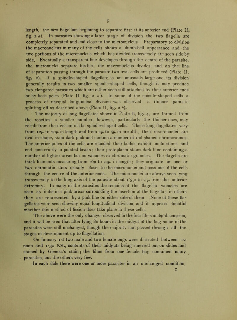 length, the new flagellum beginning to separate first at its anterior end (Plate II,. fig. 2 a). In parasites showing a later stage of division the two flagella are completely separated and end close to the micronucleus. Preparatory to division the macronucleus in many of the cells shows a dumb-bell appearance and the two portions of the micronucleus which has divided transversely are seen side by side. Eventually a transparent line developes through the centre of the parasite, the micronuclei separate further, the macronucleus divides, and on the line of separation passing through the parasite two oval cells are produced (Plate II, fig, 2). If a spindle-shaped flagellate is an unusually large one, its division generally results in two smaller spindle-shaped cells, though it may produce two elongated parasites which are either seen still attached by their anterior ends or by both poles (Plate II, fig. 2 c). In some of the spindle-shaped cells a process of unequal longitudinal division was observed, a thinner parasite splitting off as described above (Plate II, fig. 2 b). The majority of long flagellates shown in Plate II, fig. 4, are formed from the rosettes, a smaller number, however, particularly the thinner ones, may result from the division of the spindle-shaped cells. These long flagellates vary from i2fji to 2op. in length and from 4^, to 5)a in breadth, their macronuclei are oval in shape, stain dark pink and contain a number of rod shaped chromosomes. The anterior poles of the cells are rounded, their bodies exhibit undulations and end posteriorly in pointed beaks; their protoplasm stains dark blue containing a number of lighter areas but no vacuoles or chromatic granules. The flagella are thick filaments measuring from i6/a to 24^1. in length ; they originate in one or two chromatic dots usually close to the micronuclei and pass out of the cells through the centre of the anterior ends. The micronuclei are always seen lying transversely to the long axis of the parasite about i'5 /u, to 2 /a from the anterior extremity. In many of the parasites the remains of the flagellar vacuoles are seen as indistinct pink areas surrounding the insertion of the flagella ; in others they are represented by a pink line on either side of them. None of these fla- gellates were seen showing equal longitudinal division, and it appears doubtful whether this method of fission does take place in these cells. The above were the only changes observed in the four films undqr discussion, and It will be seen that after lying 80 hours in the mIdgut of the bug some of the parasites were still unchanged, though the majority had passed through all the stages of development up to flagellation. On January 1st two male and two female bugs were dissected between 12 noon and 1-30 P.M., contents of their midguts being smeared out on slides and stained by Glemsa’s stain ; the films from one female bug contained many parasites, but the others very few. In each slide there were one or more parasites in an unchanged condition, c