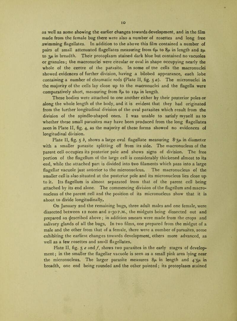 lO -as well as some showing the earlier changes towards development, and in the film made from the female bug there were also a number of rosettes and long free .swimming flagellates. In addition to the above this film contained a number of pairs of small attenuated flagellates measuring from 6/u, to 8/x in length and 2/li to 3/u, in breadth. Their protoplasm stained dark blue but contained no vacuoles or granules; the macronuclei were circular or oval in shape occupying nearly the whole of the centre of the parasite. In some of tne cells the macronuclei showed evidences of further division, having a bilobed appearance, each lobe containing a number of chromatic rods (Plate II, fig. ^a). The micronuclei in the majority of the cells lay close up to the macronuclei and the flagella were comparatively short, measuring from 8/x, to 12/x, in length. These bodies were attached to one another either by their posterior poles or along the whole length of the body, and it is evident that they had originated from the further longitudinal division of the oval parasites which result from the division of the spindle-shaped ones. I was unable to satisfy myself as to whether these small parasites may have been produced from the long flagellates seen in Plate II, fig. 4, as the majority of these forms showed no evidences of longitudinal division. Plate II, fig. 5 6, shows a large oval flagellate measuring 8'5/x in diameter with a smaller parasite splitting off from its side. The macronucleus of the parent cell occupies its posterior pole and shows signs of division. The free portion of the flagellum of the large cell is considerably thickened almost to its «nd, while the attached part is divided into two filaments which pass into a large flagellar vacuole just anterior to the micronucleus. The macronucleus of the smaller cell is also situated at the posterior pole and its micronucleus lies close up to it. Its flagellum is almost separated from that of the parent cell being attached by its end alone. The commencing division of the flagellum and macro- nucleus of the parent cell and the position of its micronucleus show that it is about to divide longitudinally. On January 2nd the remaining bugs, three adult males and one female, were dissected between 12 noon and 1-30 P.M., the midguts being dissected out and prepared as ^escribed above; in addition smears were made from the crops and salivary glands of all the bugs. In two films, one prepared from the midgut of a male and the other from that of a female, there were a number of parasites, some exhibiting the earliest changes towards development, others more advanced, as well as a few rosettes and small flagellates. Plate II, fig. 5 e and f, shows two parasites in the early stages of develop- ment; in the smaller the flagellar vacuole is seen as a small pink area lying near the micronucleus. The larger parasite measures 8/x in length and 4'5/x in breadth, one end being rounded and the other pointed; its protoplasm stained