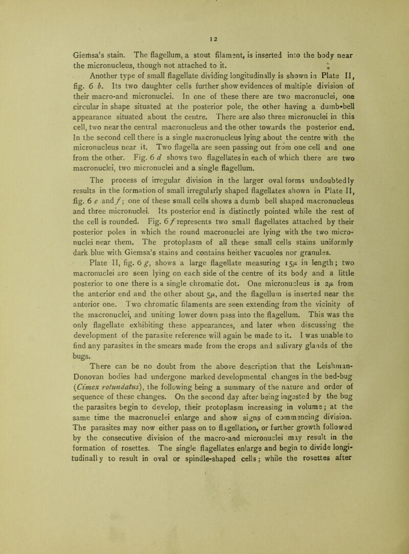 Gieriisa’s stain. The flagellum, a stout filament, is inserted into the body near the micronucleus, though not attached to it. ^ Another type of small flagellate dividing longitudinally is shown in Plate II, fig. 6 h. Its two daughter cells further show evidences of multiple division of their macro-and micronuclei. In one of these there are two macronuclei, one circular in shape situated at the posterior pole, the other having a dumb-bell appearance situated about the centre. There are also three micronuclei in this cell, two near the central macronucleus and the other towards the posterior end. In the second cell there is a single macronucleus lying about the centre with the micronucleus near it. Tw^o flagella are seen passing out from one cell and one from the other. Fig. 6 d shows two flagellates in each of which there are two macronuclei, two micronuclei and a single flagellum. The process of irregular division in the larger oval forms undoubtedly results in the formation of small irregularly shaped flagellates shown in Plate II, fig. 6 e andone of these small cells shows a dumb bell shaped macronucleus and three micronuclei. Its posterior end is distinctly pointed while the rest of the cell is rounded. Fig. 6/represents two small flagellates attached by their posterior poles in which the round macronuclei are lying with the two micro- nuclei near them. The protoplasm of all these small cells stains uniformly dark blue with Giemsa’s stains and contains heither vacuoles nor granules. Plate II, fig. 6 g, shows a large flagellate measuring 15/4 in length; two macronuclei are seen lying on each side of the centre of its body and a little posterior to one there is a single chromatic dot. One micronucleus is 2/4 from the anterior end and the other about 5/4, and the flagellum is inserted near the anterior one. Two chromatic filaments are seetj extending from the vicinity of the macronuclei, and uniting lower down pass into the flagellum. This was the only flagellate exhibiting these appearances, and later when discussing the development of the parasite reference will again be made to it. I was unable to find any parasites in the smears made from the crops and salivary glands of the bugs. There can be no doubt from the above description that the Leishnian- Donovan bodies had undergone marked developmental changes in the bed-bug {Cimex rotundatus), the following being a summary of the nature and order of sequence of these changes. On the second day after being Ingested by the bug the parasites begin to develop, their protoplasm increasing in volume; at the same time the macronuclei enlarge and show signs of commencing division. The parasites may now either pass on to flagellation, or further growth followed by the consecutive division of the macro-and micronuclei may result in the formation of rosettes. The single flagellates enlarge and begin to divide longi- tudlnally to result in oval or spindle-shaped cells; while the rosettes after