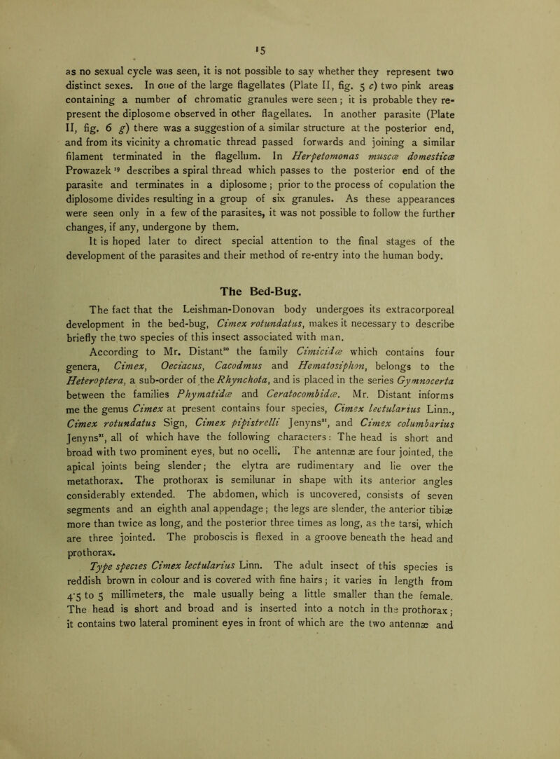 as no sexual cycle was seen, it is not possible to say whether they represent two distinct sexes. In one of the large flagellates (Plate II, fig. 5 c) two pink areas containing a number of chromatic granules were seen; it is probable they re- present the diplosome observed in other flagellates. In another parasite (Plate II, fig. 6 there was a suggestion of a similar structure at the posterior end, and from its vicinity a chromatic thread passed forwards and joining a similar filament terminated in the flagellum. In Herpetomonas muscce domesticcB Prowazek describes a spiral thread which passes to the posterior end of the parasite and terminates in a diplosome ; prior to the process of copulation the diplosome divides resulting in a group of six granules. As these appearances were seen only In a few of the parasites, it was not possible to follow the further changes, If any, undergone by them. It is hoped later to direct special attention to the final stages of the development of the parasites and their method of re-entry into the human body. The Bed-Bug. The fact that the Leishman-Donovan body undergoes Its extracorporeal development In the bed-bug, Ctmex rotundatus, makes it necessary to describe briefly the two species of this insect associated with man. According to Mr. Distant*® the family Cimicidce which contains four genera, Cimex, Oectacus, Cacodmus and Hematosiphon, belongs to the Heteroptera, a sub-order oi the Rhynehota, and is placed in the series Gymnocerta between the families Phymatidee and Ceratocomhidee. Mr. Distant informs me the genus Cimex at present contains four species, Cimex lectularius Linn., Ctmex rotundatus Sign, Ctmex pipistrelli Jenyns*', and Ctmex columbarius Jenyns”, all of which have the following characters: The head is short and broad with two prominent eyes, but no ocelli. The antennae are four jointed, the apical joints being slender; the elytra are rudimentary and lie over the metathorax. The prothorax is semilunar in shape wdth its anterior angles considerably extended. The abdomen, which is uncovered, consists of seven segments and an eighth anal appendage; the legs are slender, the anterior tibiae more than twice as long, and the posterior three times as long, as the tarsi, which are three jointed. The proboscis is flexed in a groove beneath the head and pro thorax. Type spectes Ctmex lectularius Linn. The adult insect of this species is reddish brown in colour and is covered with fine hairs ; it varies in length from 4-5 to 5 millimeters, the male usually being a little smaller than the female. The head is short and broad and is inserted into a notch In the prothorax; It contains two lateral prominent eyes in front of which are the two antennae and