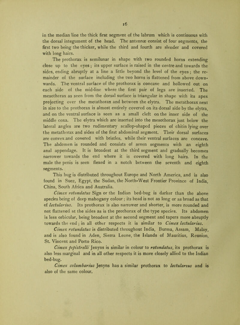 in the median line the thick first segment of the labrum which is continuous with the dorsal integument of the head. The antennae consist of four segments, the first two being the thicker, while the third and fourth are slender and covered with long hairs. The prothorax is semilunar in shape wdth two rounded horns extending close up to the eyes ; its upper surface is raised in the centre and towards the sides, ending abruptly at a line a little beyond the level of the eyes ; the re- mainder of the surface including the two horns is flattened from above down- wards. The ventral surface of the prothorax is concave and hollowed out on each side of the raid-line where the first pair of legs are inserted. The mesothorax as seen from the dorsal surface is triangular in shape with its apex projecting over the metathorax and between the elytra. The metathorax next in size to the prothorax is almost entirely covered on its dorsal side by the elytra, and on the ventral surface is seen as a small cleft on the inner side of the middle coxa. The elytra which are inserted into the mesothorax just below the lateral angles are two rudimentary scallop-shaped pieces of chitin lying over the metathorax and sides of the first abdominal segment. Their dorsal surfaces are convex and covered with bristles, while their ventral surfaces are concave. The abdomen is rounded and consists ol seven segments with an eighth anal appendage. It is broadest at the third segment and gradually becomes narrower towards the end where it is covered with long hairs. In the male the penis is seen flexed in a notch between the seventh and eighth segments. This bug is distributed throughout Europe and North America, and is also found in Suez, Egypt, the Sudan, the North-West Frontier Province of India, China, South Africa and Australia. Cimex rotundatus Sign or the Indian bed-bug is darker than the above species being of deep mahogany colour ; its bead is not as long or as broad as that of lectularius. Its prothorax is also narrower and shorter, is more rounded and not flattened at the sides as is the prothorax of the type species. Its abdomen is less orbicular, being broadest at the second segment and tapers more abruptly towards the end ; in all other respects it is similar to Cimex lectularius. Cimex rotundatus is distributed throughout India, Burma, Assam, Malay, and is also found in Aden, Sierra Leone, the Islands of Mauritius, Reunion, St. Vincent and Porto Rico. Cimex pipistrelli ]tViYC\s is similar in colour to rotundatus, its prothorax is also less marginal and in all other respects it is more closely allied to the Indian bed-bug. Cimex columbarius Jenyns has a similar prothorax to lectularius and is also of the same colour.