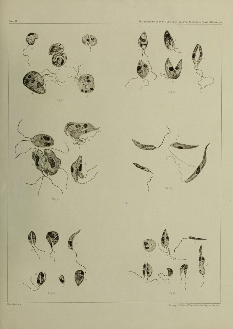 Tig. 6. Fig 1. Tig. 3. Fho to gravure. Survey of India. OiHoes, Calcutta, September. 1907.