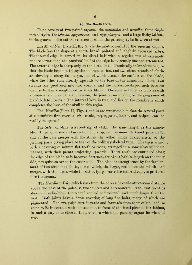 (&) The Mouth Parts. These consist of two paired organs, the mandibles and maxillce, three single mesial styles, the lahrum, efifharynx, and hy^ofliarynx, and a large fleshy labium, in the groove on the anterior surface of which the piercing styles lie when at rest. The Mandibles (Plate II, Fig. 9) are the most powerful of the piercing organs. The blade has the shape of a short, broad, pointed and slightly recurved sabre. The internal edge is armed in its distal half with a regular row of extremely minute serrations ; the proximal half of the edge is extremely flne and attenuated. The external edge is sharp only at the distal end. Proximally it broadens out, so that the blade becomes triangular in cross section, and two stout strands of chitin are developed along its margin, one of which crosses the surface of the blade, while the other runs directly upwards to the base of the mandible. These two strands are produced into two cornua, and the horseshoe-shaped arch between them is further strengthened by thick fibres. The external horn articulates with a projecting angle of the epicranium, the joint corresponding to the ginglymus of mandibulate insects.' The internal horn is free, and lies on the membrane which completes the base of the skull in this region. The Maxillce (Plate II, Figs. 1 and 2) are remarkable in that the several parts of a primitive first maxilla, viz., cardo, stipes, galea, lacinia and palpus, can be readily recognised. The Galea, or blade, is a stout shp of chitin, the same length as the mandi- ble. It is quadrilateral in section at its tip, but becomes flattened proximaUy, and at the base merges with the stipes, the yellow chitin characteristic of the piercing parts giving place to that of the ordinary skeletal type. The tip is armed with a covering of minute flat teeth or rasps, arranged in a somewhat imbricate manner, with their points projecting upwards. These teeth are continued along the edge of the blade as it becomes flattened, for about half its length on the inner side, not quite so far on the outer side. The blade is strengthened by the develop- ment of two strands of chitin, one of which, the larger, runs down the middle, and merges with the stipes, while the other, lying nearer the internal edge, is produced into the lacinia. The Maxillary Palp, which rises from the outer side of the stipes some distance above the base of the galea, is two-jointed and antenniform. The first joint is short and cylindrical, the second conical and pointed, and much larger than the first. Both joints have a dense covering of long fine hairs, many of which are pigmented. The two palpi turn inwards and forwards from their origin, and so come to lie in contact with one another, in front of the basal piece of the labium, in such a way as to close in the groove in which the piercing organs lie when at rest.