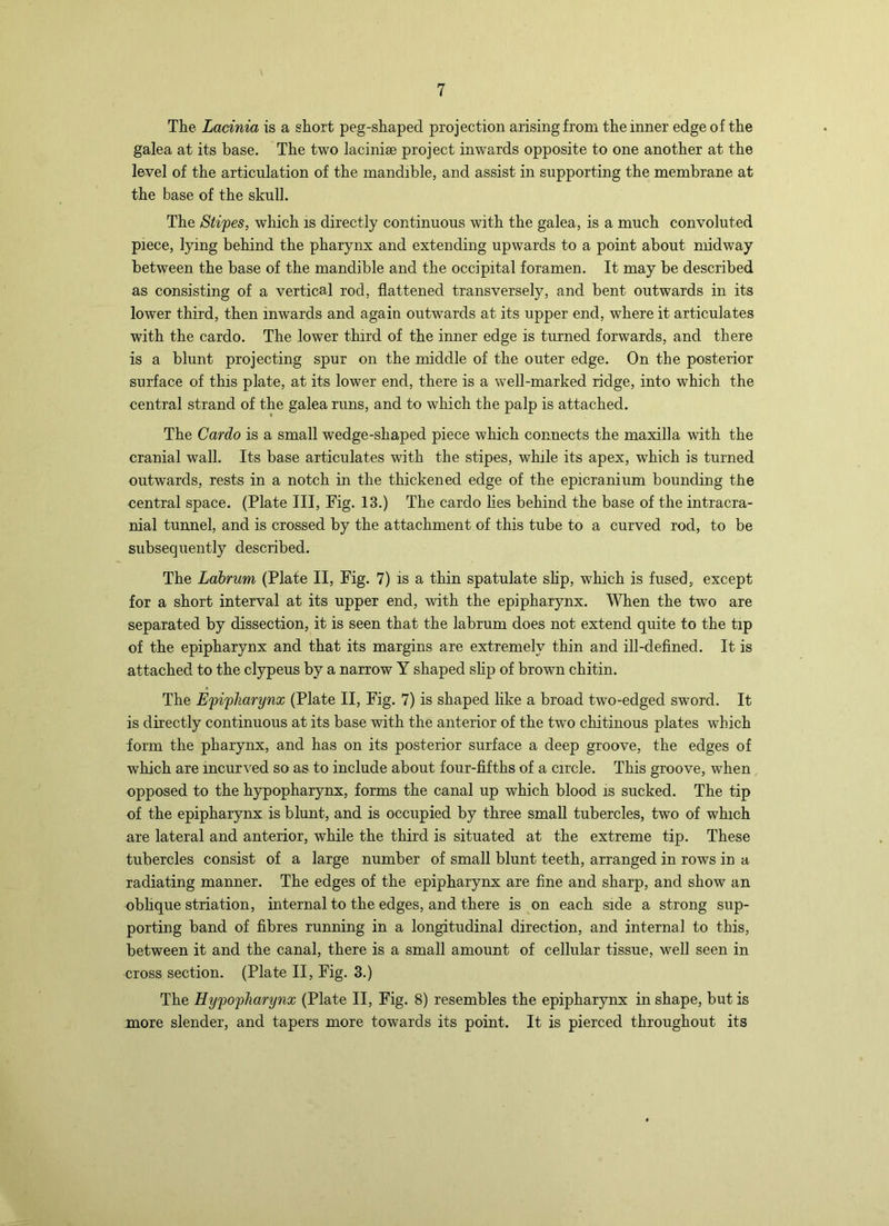 The Lacinia is a short peg-shaped projection arising from the inner edge of the galea at its base. The two lacinise project inwards opposite to one another at the level of the articulation of the mandible, and assist in supporting the membrane at the base of the skull. The Sti'pes, which is directly continuous with the galea, is a much convoluted piece, lying behind the pharynx and extending upwards to a point about midway between the base of the mandible and the occipital foramen. It may be described as consisting of a vertical rod, flattened transversely, and bent outwards in its lower third, then inwards and again outwards at its upper end, where it articulates with the cardo. The lower third of the inner edge is turned forwards, and there is a blunt projecting spur on the middle of the outer edge. On the posterior surface of this plate, at its lower end, there is a well-marked ridge, into which the central strand of the galea runs, and to which the palp is attached. The Cardo is a small wedge-shaped piece which connects the maxilla with the cranial wall. Its base articulates with the stipes, while its apex, which is turned outwards, rests in a notch in the thickened edge of the epicranium bounding the central space. (Plate III, Fig. 13.) The cardo lies behind the base of the intracra- nial tunnel, and is crossed by the attachment of this tube to a curved rod, to be subsequently described. The Labrum (Plate II, Fig. 7) is a thin spatulate shp, which is fused, except for a short interval at its upper end, with the epipharynx. When the two are separated by dissection, it is seen that the labrum does not extend quite to the tip of the epipharynx and that its margins are extremely thin and ill-defined. It is attached to the clypeus by a narrow Y shaped shp of brown chitin. The Efifliarynx (Plate II, Fig. 7) is shaped like a broad two-edged sword. It is directly continuous at its base with the anterior of the two chitinous plates which form the pharynx, and has on its posterior surface a deep groove, the edges of which are incurved so as to include about four-fifths of a circle. This groove, when opposed to the hypopharynx, forms the canal up which blood is sucked. The tip of the epipharynx is blunt, and is occupied by three small tubercles, two of which are lateral and anterior, while the third is situated at the extreme tip. These tubercles consist of a large number of small blunt teeth, arranged in rows in a radiating manner. The edges of the epipharynx are fine and sharp, and show an obhque striation, internal to the edges, and there is on each side a strong sup- porting band of fibres running in a longitudinal direction, and internal to this, between it and the canal, there is a small amount of cellular tissue, well seen in cross section. (Plate II, Fig. 3.) The Hy'po'pharynx (Plate II, Fig. 8) resembles the epipharynx in shape, but is more slender, and tapers more towards its point. It is pierced throughout its