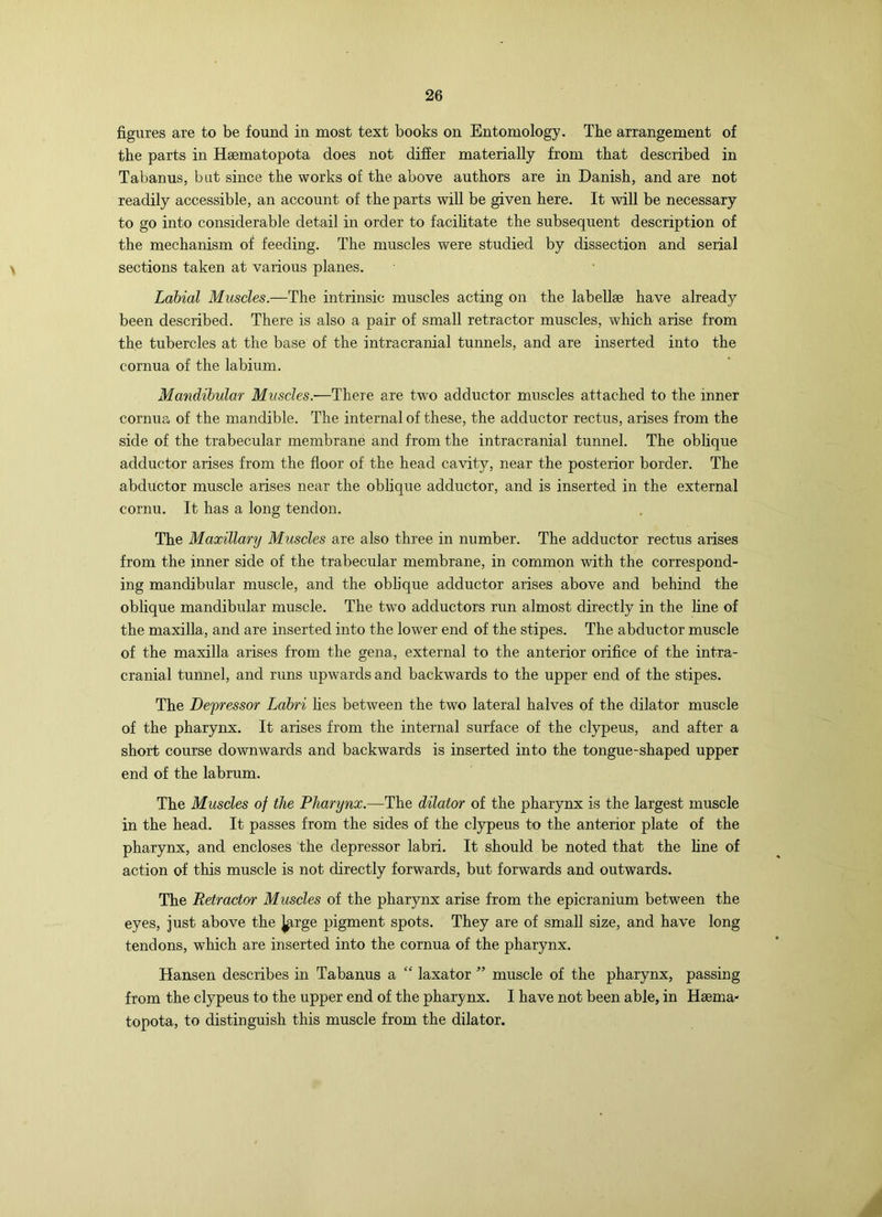 figures are to be found in most text books on Entomology. The arrangement of the parts in Hsematopota does not difier materially from that described in Tabanus, but since the works of the above authors are in Danish, and are not readily accessible, an account of the parts will be given here. It will be necessary to go into considerable detail in order to facilitate the subsequent description of the mechanism of feeding. The muscles were studied by dissection and serial sections taken at various planes. Labial Muscles.—The intrinsic muscles acting on the labellae have already been described. There is also a pair of small retractor muscles, which arise from the tubercles at the base of the intracranial tunnels, and are inserted into the cornua of the labium. Mandibular Muscles.—There are two adductor muscles attached to the inner cornua of the mandible. The internal of these, the adductor rectus, arises from the side of the trabecular membrane and from the intracranial tunnel. The oblique adductor arises from the floor of the head cavity, near the posterior border. The abductor muscle arises near the oblique adductor, and is inserted in the external cornu. It has a long tendon. The Maxillary Muscles are also three in number. The adductor rectus arises from the inner side of the trabecular membrane, in common with the correspond- ing mandibular muscle, and the oblique adductor arises above and behind the oblique mandibular muscle. The two adductors run almost directly in the line of the maxilla, and are inserted into the lower end of the stipes. The abductor muscle of the maxilla arises from the gena, external to the anterior orifice of the intra- cranial tunnel, and runs upwards and backwards to the upper end of the stipes. The Depressor Labri hes between the two lateral halves of the dilator muscle of the pharynx. It arises from the internal surface of the clypeus, and after a short course downwards and backwards is inserted into the tongue-shaped upper end of the labrum. The Muscles of the Pharynx.—The dilator of the pharynx is the largest muscle in the head. It passes from the sides of the clypeus to the anterior plate of the pharynx, and encloses the depressor labri. It should be noted that the fine of action of this muscle is not directly forwards, but forwards and outwards. The Retractor Muscles of the pharynx arise from the epicranium between the eyes, just above the J^rge pigment spots. They are of small size, and have long tendons, which are inserted into the cornua of the pharynx. Hansen describes in Tabanus a “ laxator ” muscle of the pharynx, passing from the clypeus to the upper end of the pharynx. I have not been able, in Haema- topota, to distinguish this muscle from the dilator.