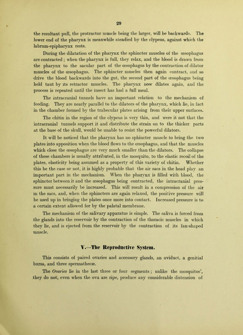 the resultant pull, the protractor muscle being the larger, will be backwards. The lower end of the pharynx is meanwhile steadied by the clypeus, against which the labrum-epipharynx rests. During the dilatation of the pharynx the sphincter muscles of the oesophagus are contracted ; when the pharynx is full, they relax, and the blood is drawn from the pharynx to the sacular part of the oesophagus by the contraction of dilator muscles of the oesophagus. The sphincter muscles then again contract, and so drive the blood backwards into the gut, the second part of the oesophagus being held taut by its retractor muscles. The pharynx now dilates again, and the process is repeated until the insect has had a full meal. The intracranial tunnels have an important relation to the mechanism of feeding. They are nearly parallel to the dilators of the pharynx, which he, in fact in the chamber formed by the trabecular plates arising from their upper surfaces. The chitin in the region of the clypeus is very thin, and were it not that the intracranial tunnels support it and distribute the strain on to the thicker parts at the base of the skull, would be unable to resist the powerful dilators. It will be noticed that the pharynx has no sphincter muscle to bring the two plates into apposition when the blood flows to the oesophagus, and that the muscles which close the oesophagus are very much smaller than the dilators. The collapse of these chambers is usually attributed, in the mosquito, to the elastic recoil of the plates, elasticity being assumed as a property of this variety of chitin. Whether this be the case or not, it is highly probable that the air sacs in the head play an important part in the mechanism. When the pharynx is filled with blood, the sphincter between it and the oesophagus being contracted, the intracranial pres- sure must necessarily be increased. This will result in a compression of the air in the sacs, and, when the sphincters are again relaxed, the positive pressure will be used up in bringing the plates once more into contact. Increased pressure is to a certain extent allowed for by the palatal membrane. The mechanism of the sahvary apparatus is simple. The saliva is forced from the glands into the reservoir by the contraction of the thoracic muscles in which they lie, and is ejected from the reservoir by the contraction of its fan-shaped muscle. V.—The Reproductive System. This consists of paired ovaries and accessory glands, an oviduct, a genitial bursa, and three sperniathecse. The Ovanes he in the last three or four segments ; unhke the mosquitos^ they do not, even when the ova are ripe, produce any considerable distension of