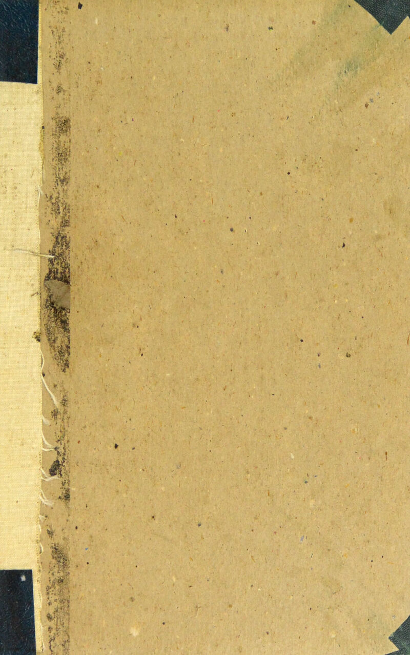 i: » '■i m * 1 I I /