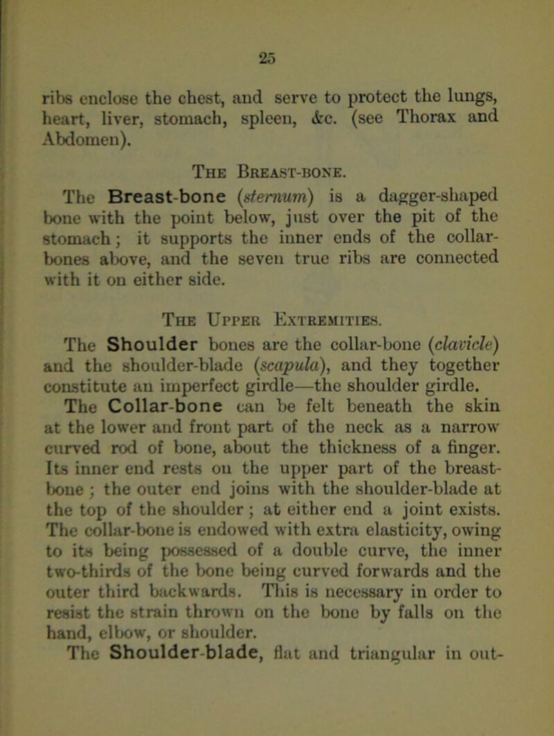 2,') ribs enclose the chest, and serve to protect the lungs, heart, liver, stomach, spleen, <fcc. (see Thorax and Abdomen). The Breast-bone. The Breast bone (sternum) is a dagger-shaped bone with the point below, just over the pit of the stomach; it supports the inner ends of the collar- bones above, and the seven true ribs are connected with it on either side. The Upper Extremities. The Shoulder bones are the collar-bone (clavicle) and the shoulder-blade (scapula), and they together constitute an imperfect girdle—the shoulder girdle. The Collar-bone can be felt beneath the skin at the lower and front part of the neck as a narrow curved rod of bone, about the thickness of a finger. Its inner end rests ou the upper part of the breast- bone ; the outer end joins with the shoulder-blade at the top of the shoulder ; at either end a joint exists. The collar-bone is endowed with extra elasticity, owing to its being possessed of a double curve, the inner two-thirds of the bone being curved forwards and the outer third backwards. This is necessary in order to resist the strain thrown on the bone by falls on the hand, elbow, or shoulder. The Shoulder-blade, flat and triangular in out-