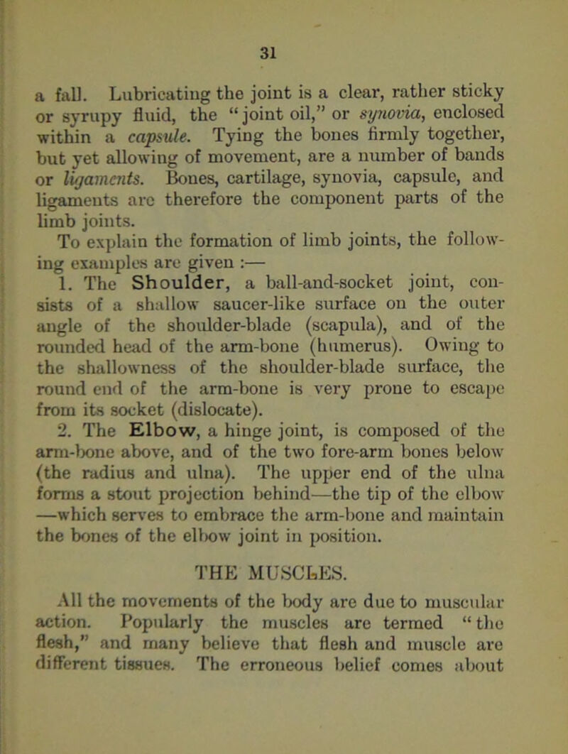 a fall. Lubricating the joint is a clear, rather sticky or syrupy fluid, the “ joint oil,” or synovia, enclosed within a capsule. Tying the bones firmly together, but yet allowing of movement, are a number of bands or ligaments. Bones, cartilage, synovia, capsule, and ligaments are therefore the component parts of the limb joints. To explain the formation of limb joints, the follow- ing examples are given :— 1. The Shoulder, a ball-and-socket joint, con- sists of a shallow saucer-like surface on the outer angle of the shoulder-blade (scapula), and of the rounded head of the arm-bone (humerus). Owing to the shallowness of the shoulder-blade surface, the round end of the arm-bone is very prone to escape from its socket (dislocate). 2. The Elbow, a hinge joint, is composed of the arm-bone above, and of the two fore-arm bones below (the radius and ulna). The upper end of the ulna forms a stout projection behind—the tip of the elbow —which serves to embrace the arm-hone and maintain the bones of the elbow joint in position. THE MUSCLES. All the movements of the body are due to muscular action. Popularly the muscles are termed “ the flesh,” and many believe that flesh and muscle are different tissues. The erroneous belief comes about