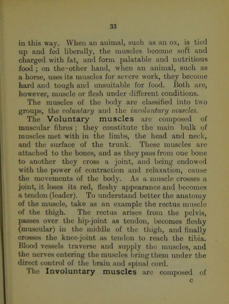 in this way. When an animal, such as an ox, is tied up and fed liberally, the muscles become soft and charged with fat, and form palatable and nutritious food; on the*other hand, when an animal, such as a horse, uses its muscles for severe work, they become hard and tough and unsuitable for food. Both are, however, muscle or flesh under different conditions. The muscles of the body are classified into two groups, the voluntary and the involuntary muscles. The Voluntary muscles are composed of muscular fibres; they constitute the main bulk of muscles met with in the limbs, the head and neck, and the surface of the trunk. These muscles are attached to the bones, and as they pass from one bone to another they cross a joint, and being endowed with the power of contraction and relaxation, cause the movements of the body. As a muscle crosses a joint, it loses its red, fleshy appearance and becomes a tendon (leader). To understand better the anatomy of the muscle, take as an example the rectus muscle of the thigh. The rectus arises from the pelvis, passes over the hip-joint as tendon, becomes fleshy (muscular) in the middle of the thigh, and finally crosses the knee-joint as tendon to reach the tibia. Blood vessels traverse and supply the muscles, and the nerves entering the muscles bring them under the direct control of the brain and spinal cord. The Involuntary muscles are composed of c