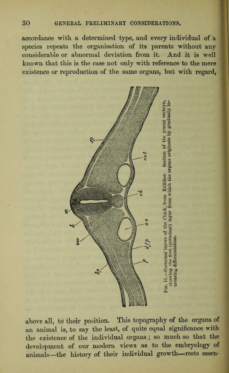 accordance with a determined type, and every individual of a species repeats the organisation of its parents without any considerable or abnormal deviation from it. And it is well known that this is the case not only with reference to the mere existence or reproduction of the same organs, but with regard, above all, to their position. This topography of the organs of an animal is, to say the least, of quite equal significance with the existence of the individual organs; so much so that the development of our modem views as to the embryology of animals—the history of their individual growth—rests essen-