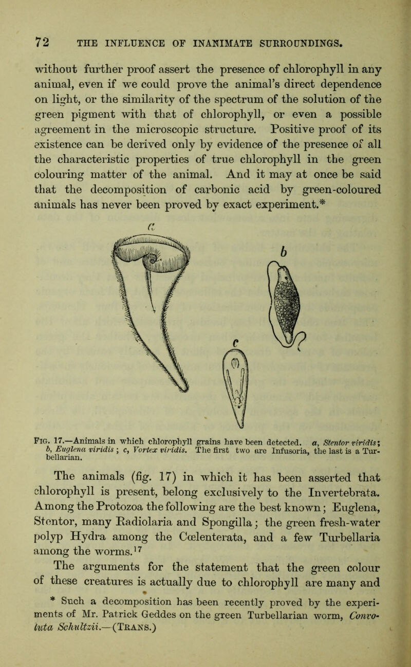 without further proof assert the presence of chlorophyll in any animal, even if we could prove the animal’s direct dependence on light, or the similarity of the spectrum of the solution of the green pigment with that of chlorophyll, or even a possible agreement in the microscopic structure. Positive proof of its existence can be derived only by evidence of the presence of all the characteristic properties of true chlorophyll in the green colouring matter of the animal. And it may at once be said that the decomposition of carbonic acid by green-coloured animals has never been proved by exact experiment.* a Fig. 17.—Animals in which chlorophyll grains have been detected, a, Stentor viridis; b, Euglena viridis ; c, Vortex viridis. The first two are Infusoria, the last is a Tur- bellarian. The animals (fig. 17) in which it has been asserted that chlorophyll is present, belong exclusively to the Invertebrata. Among the Protozoa the following are the best known; Euglena, Stentor, many Padiolaria and Spongilla; the green fresh-water polyp Hydra among the Coelenterata, and a few Turbellaria among the worms.17 The arguments for the statement that the green colour of these creatures is actually due to chlorophyll are many and % * Such a decomposition has been recently proved by the experi- ments of Mr. Patrick Geddes on the green Turbellarian worm, Convo- luta Schultzii.—(Trans.)