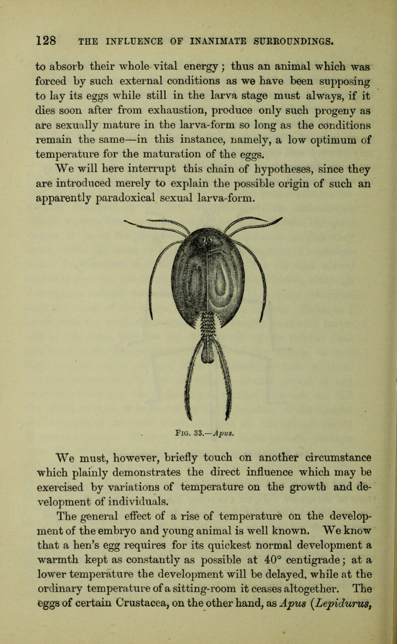 to absorb their whole vital energy ; thus an animal which was forced by such external conditions as we have been supposing to lay its eggs while still in the larva stage must always, if it dies soon after from exhaustion, produce only such progeny as are sexually mature in the larva-form so long as the conditions remain the same—in this instance, namely, a low optimum of temperature for the maturation of the eggs. We will here interrupt this chain of hypotheses, since they are introduced merely to explain the possible origin of such an apparently paradoxical sexual larva-form. Fig. 33.—Ajpus* We must, however, briefly touch on another circumstance which plainly demonstrates the direct influence which may be exercised by variations of temperature on the growth and de- velopment of individuals. The general effect of a rise of temperature on the develop- ment of the embryo and young animal is well known. We know that a hen’s egg requires for its quickest normal development a warmth kept as constantly as possible at 40° centigrade; at a lower temperature the development will be delayed, while at the ordinary temperature of a sitting-room it ceases altogether. The eggs of certain Crustacea, on the other hand, as Apus (Lepidurus,