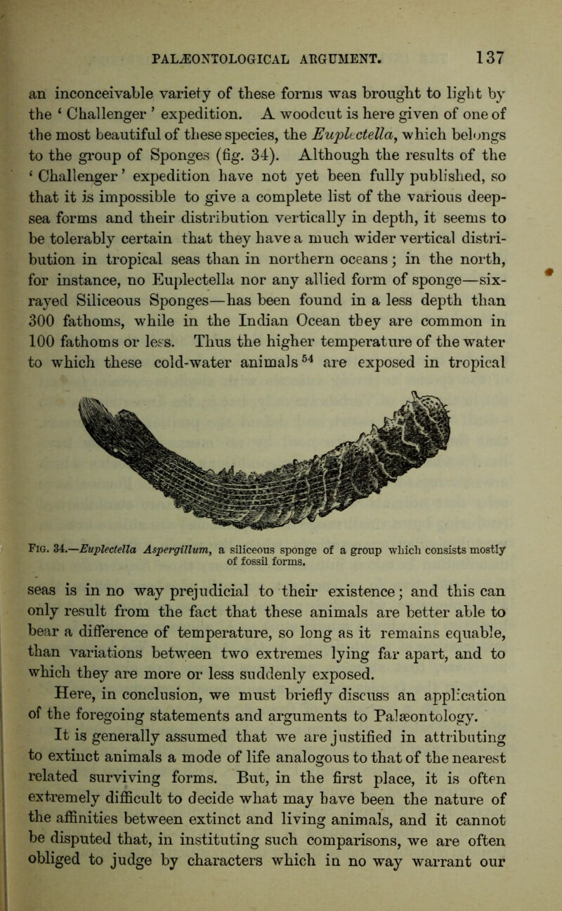 an inconceivable variety of these forms was brought to light by the ‘ Challenger ’ expedition. A woodcut is here given of one of the most beautiful of these species, the Euplectella, which belongs to the group of Sponges (fig. 34). Although the results of the ‘ Challenger ’ expedition have not yet been fully published, so that it is impossible to give a complete list of the various deep- sea forms and their distribution vertically in depth, it seems to be tolerably certain that they have a much wider vertical distri- bution in tropical seas than in northern oceans; in the north, for instance, no Euplectella nor any allied form of sponge—six- rayed Siliceous Sponges—has been found in a less depth than 300 fathoms, while in the Indian Ocean they are common in 100 fathoms or less. Thus the higher temperature of the water to which these cold-water animals54 are exposed in tropical Fig. 34.—Euplectella Aspergillum, a siliceous sponge of a group which consists mostly of fossil forms. seas is in no way prejudicial to their existence; and this can only result from the fact that these animals are better able to bear a difference of temperature, so long as it remains equable, than variations between two extremes lying far apart, and to which they are more or less suddenly exposed. Here, in conclusion, we must briefly discuss an application of the foregoing statements and arguments to Palaeontology. It is generally assumed that we are justified in attributing to extinct animals a mode of life analogous to that of the nearest related surviving forms. But, in the first place, it is often extremely difficult to decide what may have been the nature of the affinities between extinct and living animals, and it cannot be disputed that, in instituting such comparisons, we are often obliged to judge by characters which in no way warrant our