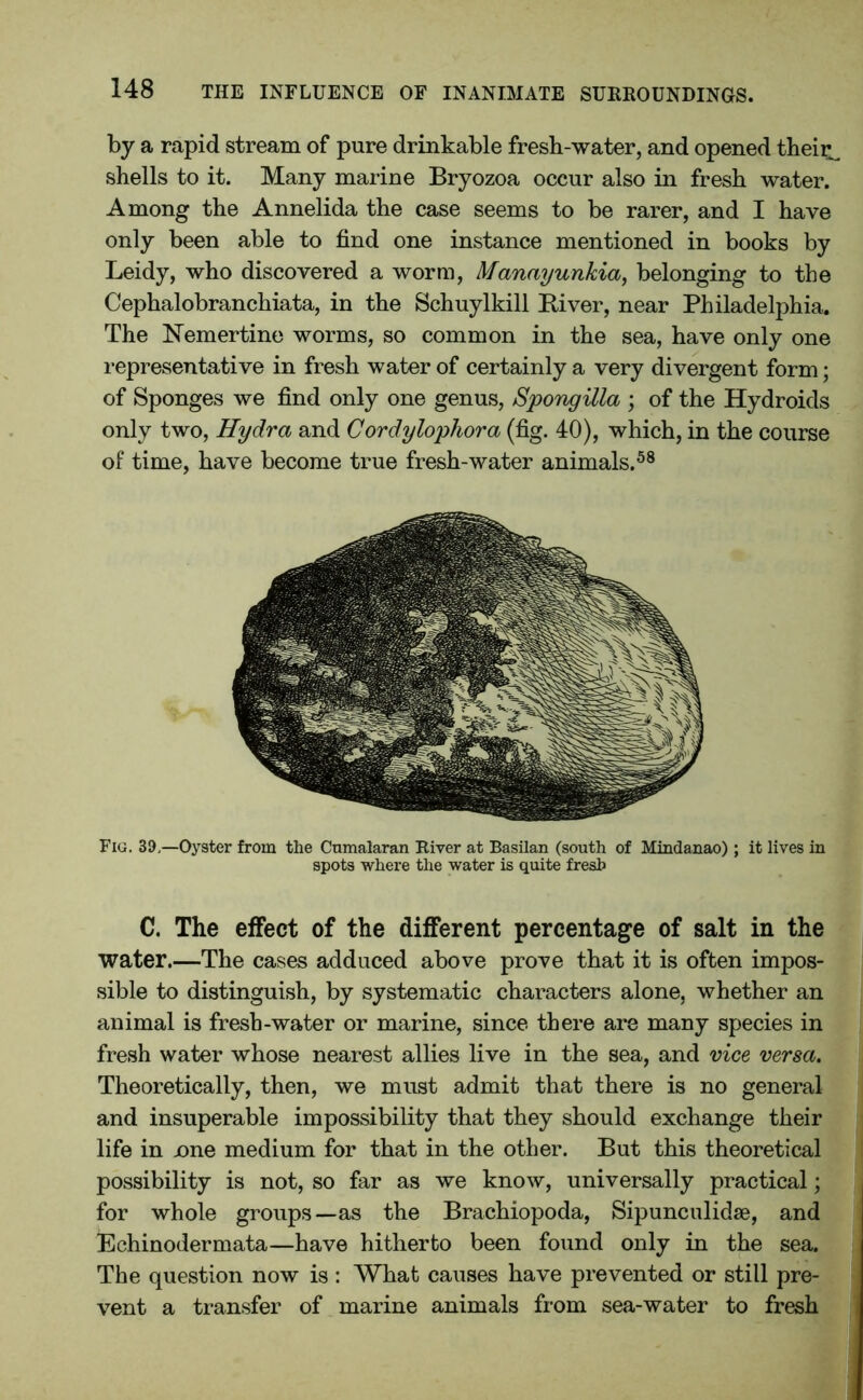 by a rapid stream of pure drinkable fresh-water, and opened their^ shells to it. Many marine Bryozoa occur also in fresh water. Among the Annelida the case seems to be rarer, and I have only been able to find one instance mentioned in books by Leidy, who discovered a worm, Manayunkia, belonging to the Cephalobranchiata, in the Schuylkill Paver, near Philadelphia. The Nemertine worms, so common in the sea, have only one representative in fresh water of certainly a very divergent form; of Sponges we find only one genus, Spongilla ; of the Hydroids only two, Hydra and Cordylophora (fig. 40), which, in the course of time, have become true fresh-water animals.58 Fig. 39.—Oyster from the Cumalaran River at Basilan (south of Mindanao); it lives in spots where the water is quite fresh C. The effect of the different percentage of salt in the water.—The cases adduced above prove that it is often impos- sible to distinguish, by systematic characters alone, whether an animal is fresh-water or marine, since there are many species in fresh water whose nearest allies live in the sea, and vice versa. Theoretically, then, we must admit that there is no general and insuperable impossibility that they should exchange their life in .one medium for that in the other. But this theoretical possibility is not, so far as we know, universally practical; for whole groups—as the Brachiopoda, Sipunculidse, and Echinodermata—have hitherto been found only in the sea. The question now is : What causes have prevented or still pre- vent a transfer of marine animals from sea-water to fresh