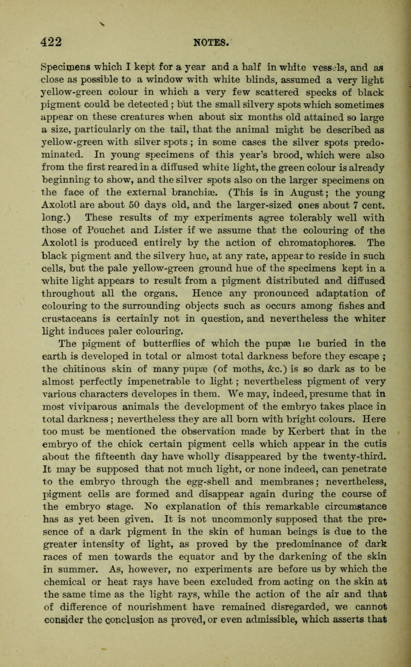Specimens which I kept for a year and a half in white vessels, and as close as possible to a window with white blinds, assumed a very light yellow-green colour in which a very few scattered specks of black pigment could be detected; but the small silvery spots which sometimes appear on these creatures when about six months old attained so large a size, particularly on the tail, that the animal might be described as yellow-green with silver spots; in some cases the silver spots predo- minated. In young specimens of this year’s brood, which were also from the first reared in a diffused white light, the green colour is already beginning to show, and the silver spots also on the larger specimens on the face of the external branchise. (This is in August; the young Axolotl are about 50 days old, and the larger-sized ones about 7 cent, long.) These results of my experiments agree tolerably well with those of Pouchet and Lister if we assume that the colouring of the Axolotl is produced entirely by the action of chromatophores. The black pigment and the silvery hue, at any rate, appear to reside in such cells, but the pale yellow-green ground hue of the specimens kept in a white light appears to result from a pigment distributed and diffused throughout all the organs. Hence any pronounced adaptation of colouring to the surrounding objects such as occurs among fishes and crustaceans is certainly not in question, and nevertheless the whiter light induces paler colouring. The pigment of butterflies of which the pupae lie buried in the earth is developed in total or almost total darkness before they escape ; the chitinous skin of many pupae (of moths, &c.) is so dark as to be almost perfectly impenetrable to light; nevertheless pigment of very various characters developes in them. We may, indeed, presume that in most viviparous animals the development of the embryo takes place in total darkness; nevertheless they are all born with bright colours. Here too must be mentioned the observation made by Herbert that in the embryo of the chick certain pigment cells which appear in the cutis about the fifteenth day have wholly disappeared by the twenty-third. It may be supposed that not much light, or none indeed, can penetrate to the embryo through the egg-shell and membranes; nevertheless, pigment cells are formed and disappear again during the course of the embryo stage. No explanation of this remarkable circumstance has as yet been given. It is not uncommonly supposed that the pre- sence of a dark pigment in the skin of human beings is due to the greater intensity of light, as proved by the predominance of dark races of men towards the equator and by the darkening of the skin in summer. As, however, no experiments are before us by which the chemical or heat rays have been excluded from acting on the skin at the same time as the light rays, while the action of the air and that of difference of nourishment have remained disregarded, we cannot consider the conclusion as proved, or even admissible, which asserts that