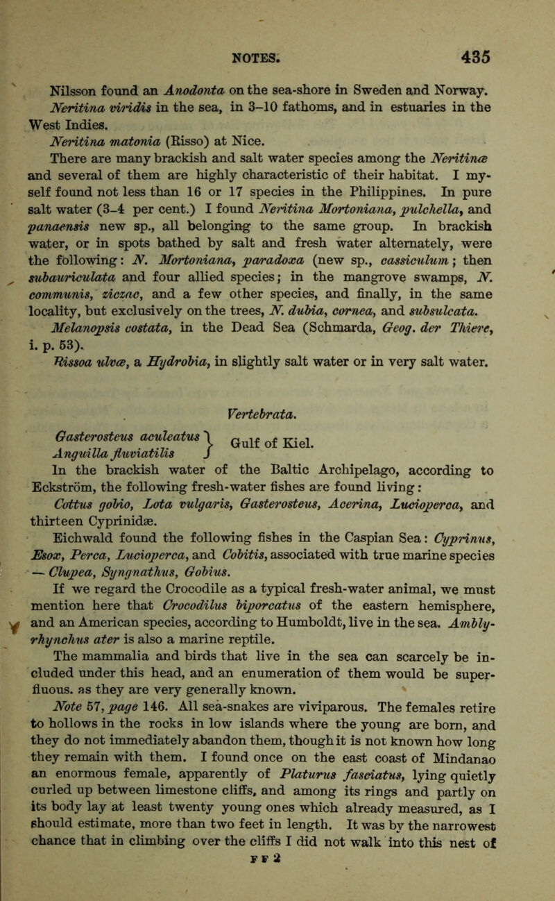 Nilsson found an Anodonta on the sea-shore in Sweden and Norway. Neritina viridis in the sea, in 3-10 fathoms, and in estuaries in the West Indies. Neritina matonia (Risso) at Nice. There are many brackish and salt water species among the Neritina and several of them are highly characteristic of their habitat. I my- self found not less than 16 or 17 species in the Philippines. In pure salt water (3-4 per cent.) I found Neritina Mortoniana, pulchellat and panaensis new sp., all belonging to the same group. In brackish water, or in spots bathed by salt and fresh water alternately, were the following: N. Mortoniana, pamadoxa (new sp., cassiculum; then subauriculata and four allied species; in the mangrove swamps, N. communis, ziczac, and a few other species, and finally, in the same locality, but exclusively on the trees, N dubia, cornea, and subsulcata. Melanopsis costata, in the Dead Sea (Schmarda, Geog. der Thiere, i. p. 53). Uissoa ulvce, a Hydrobia, in slightly salt water or in very salt water. Vertebrata. Gulf of Kiel. Gasterosteus aculeatus \ Anguilla fluviatilis S In the brackish water of the Baltic Archipelago, according to Eckstrom, the following fresh-water fishes are found living: Cottus gobio, Lota vulgaris, Gasterosteus, Acerina, Lucioperca, and thirteen Cyprinidae. Eichwald found the following fishes in the Caspian Sea: Cyprinus, Esox, Perea, Lucioperca, and Cobitis, associated with true marine species — Clupea, Syngnathus, Gobius. If we regard the Crocodile as a typical fresh-water animal, we must mention here that Crocodilus biporcatus of the eastern hemisphere, and an American species, according to Humboldt, live in the sea. Ambly- rhynchus ater is also a marine reptile. The mammalia and birds that live in the sea can scarcely be in- cluded under this head, and an enumeration of them would be super- fluous. as they are very generally known. Note hi, page 146. All sea-snakes are viviparous. The females retire to hollows in the rocks in low islands where the young are bom, and they do not immediately abandon them, though it is not known how long they remain with them. I found once on the east coast of Mindanao an enormous female, apparently of Platurus fasciatus, lying quietly curled up between limestone cliffs, and among its rings and partly on its body lay at least twenty young ones which already measured, as I should estimate, more than two feet in length. It was by the narrowest chance that in climbing over the cliffs I did not walk into this nest of FF 2