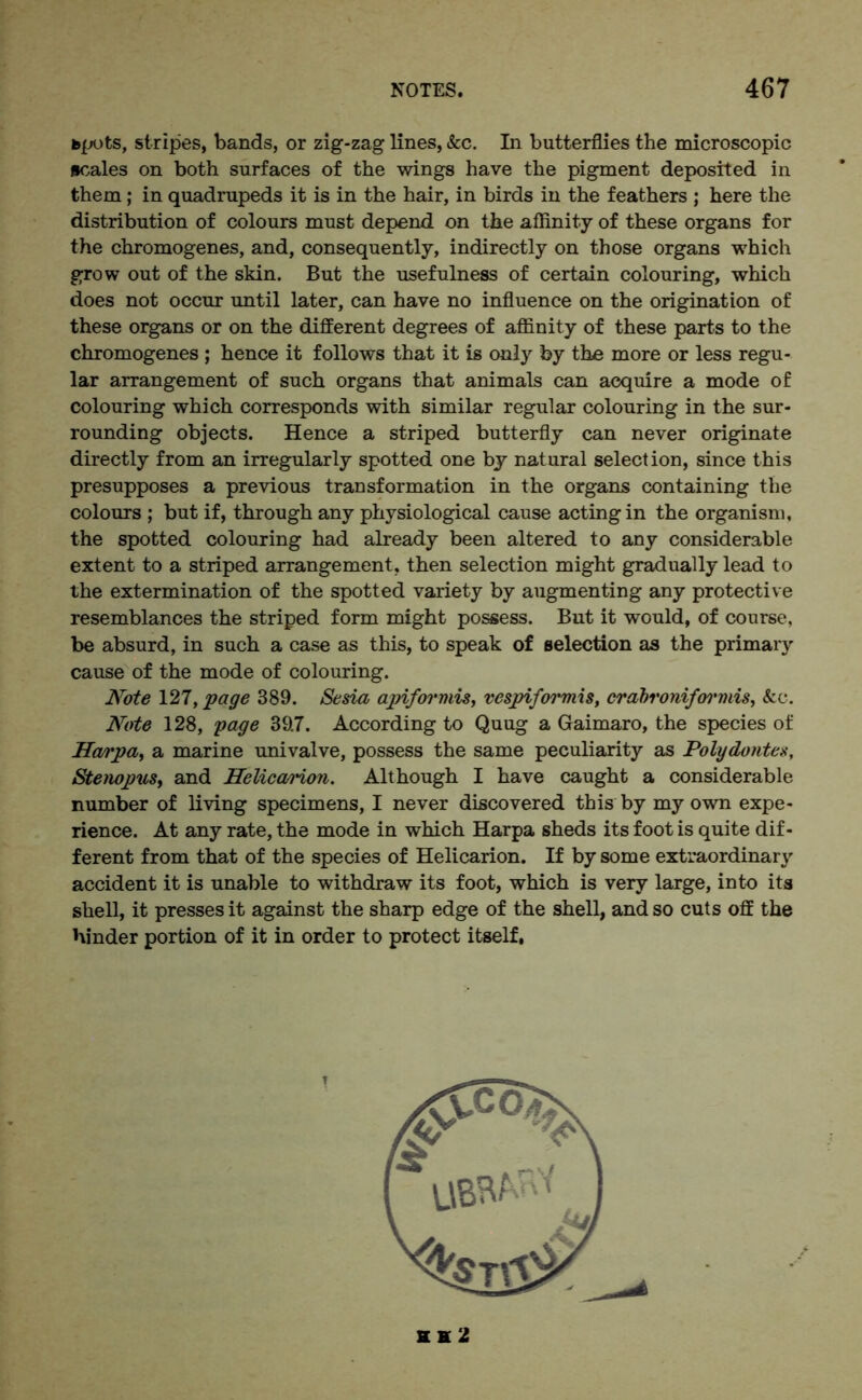 bpots, stripes, bands, or zig-zag lines, &c. In butterflies the microscopic scales on both surfaces of the wings have the pigment deposited in them; in quadrupeds it is in the hair, in birds in the feathers ; here the distribution of colours must depend on the affinity of these organs for the chromogenes, and, consequently, indirectly on those organs which grow out of the skin. But the usefulness of certain colouring, which does not occur until later, can have no influence on the origination of these organs or on the different degrees of affinity of these parts to the chromogenes ; hence it follows that it is only by the more or less regu- lar arrangement of such organs that animals can acquire a mode of colouring which corresponds with similar regular colouring in the sur- rounding objects. Hence a striped butterfly can never originate directly from an irregularly spotted one by natural selection, since this presupposes a previous transformation in the organs containing the colours ; but if, through any physiological cause acting in the organism, the spotted colouring had already been altered to any considerable extent to a striped arrangement, then selection might gradually lead to the extermination of the spotted variety by augmenting any protective resemblances the striped form might possess. But it would, of course, be absurd, in such a case as this, to speak of selection as the primary cause of the mode of colouring. Note 127, page 389. Sesia apiforviis, vcspiformis, crabronifoi'mis, &c. Note 128, page 39.7. According to Quug a Gaimaro, the species of Harpa, a marine univalve, possess the same peculiarity as Polydontes, Stenopus, and Helicarion. Although I have caught a considerable number of living specimens, I never discovered this by my own expe- rience. At any rate, the mode in which Harpa sheds its foot is quite dif- ferent from that of the species of Helicarion. If by some extraordinary accident it is unable to withdraw its foot, which is very large, into its shell, it presses it against the sharp edge of the shell, and so cuts off the hinder portion of it in order to protect itself, ? he2