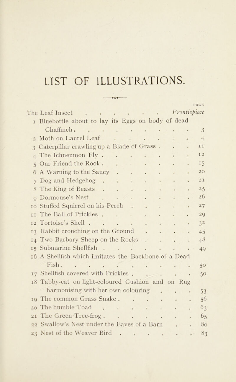 LIST OF ILLUSTRATIONS. ♦<>• PAGE The Leaf Insect Frontispiece 1 Bluebottle about to lay its Eggs on body of dead Chaffinch 3 2 Moth on Laurel Leaf . ..... 4 3 Caterpillar crawling up a Blade of Grass . . . 11 4 The Ichneumon Fly . . . . . . .12 5 Our Friend the Rook . . . . . . .15 6 A Warning to the Saucy ...... 20 7 Dog and Hedgehog . . . . . . .21 8 The King of Beasts ....... 25 9 Dormouse’s Nest ....... 26 10 Stuffed Squirrel on his Perch ..... 27 11 The Ball of Prickles ....... 29 12 Tortoise’s Shell 32 13 Rabbit crouching on the Ground .... 45 14 Two Barbary Sheep on the Rocks .... 48 15 Submarine Shellfish . ... . . .49 16 A Shellfish which Imitates the Backbone of a Dead Fish 50 17 Shellfish covered with Prickles ..... 50 18 Tabby-cat on light-coloured Cushion and on Rug harmonising with her own colouring . . • 53 19 The common Grass Snake ...... 56 20 The humble Toad 63 21 The Green Tree-frog ....... 65 22 Swallow’s Nest under the Eaves of a Barn . . 80 23 Nest of the Weaver Bird ...... 83