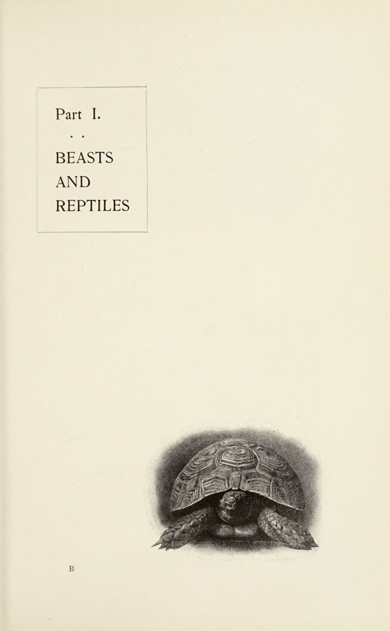 • • BEASTS AND REPTILES B