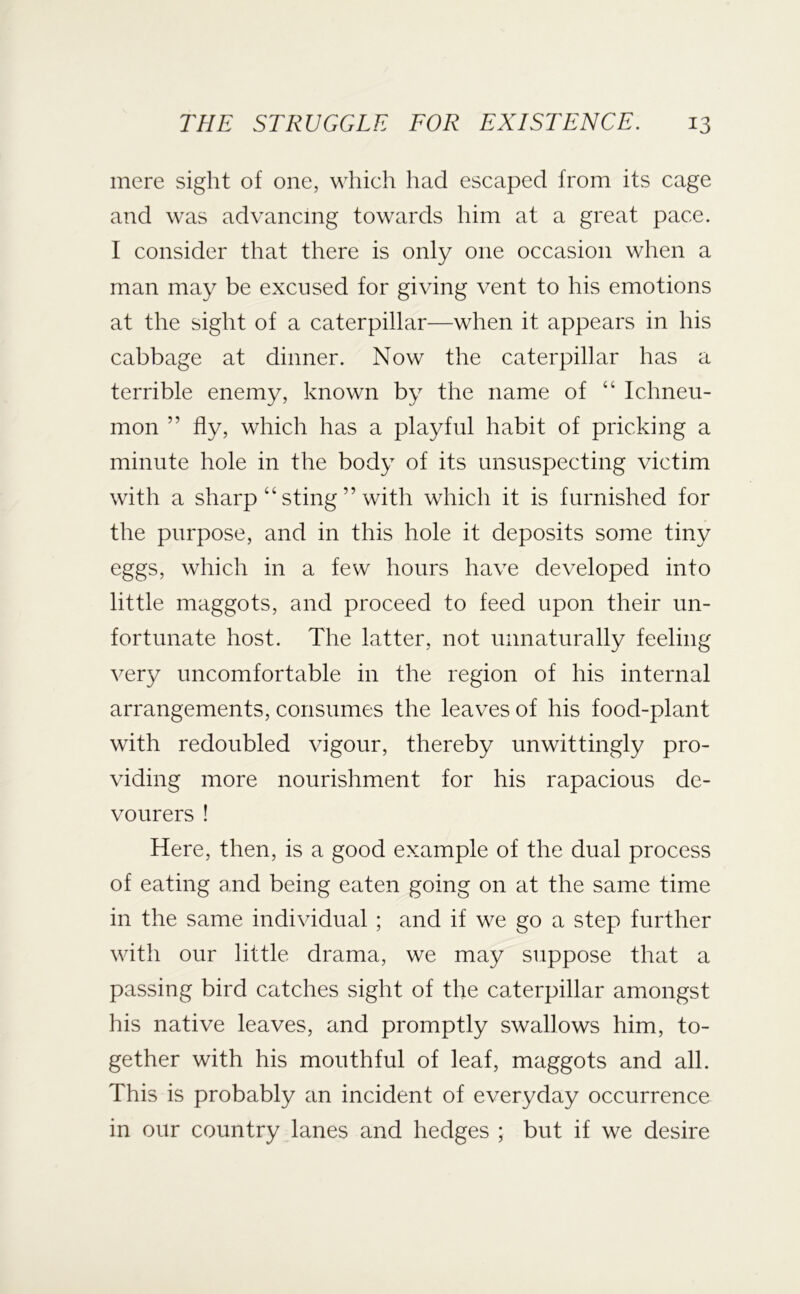 mere sight of one, which had escaped from its cage and was advancing towards him at a great pace. I consider that there is only one occasion when a man may be excused for giving vent to his emotions at the sight of a caterpillar—when it appears in his cabbage at dinner. Now the caterpillar has a terrible enemy, known by the name of “ Ichneu- mon ” fly, which has a playful habit of pricking a minute hole in the body of its unsuspecting victim with a sharp “ sting ” with which it is furnished for the purpose, and in this hole it deposits some tiny eggs, which in a few hours have developed into little maggots, and proceed to feed upon their un- fortunate host. The latter, not unnaturally feeling very uncomfortable in the region of his internal arrangements, consumes the leaves of his food-plant with redoubled vigour, thereby unwittingly pro- viding more nourishment for his rapacious de- vourers ! Here, then, is a good example of the dual process of eating and being eaten going on at the same time in the same individual ; and if we go a step further with our little drama, we may suppose that a passing bird catches sight of the caterpillar amongst his native leaves, and promptly swallows him, to- gether with his mouthful of leaf, maggots and all. This is probably an incident of everyday occurrence in our country lanes and hedges ; but if we desire