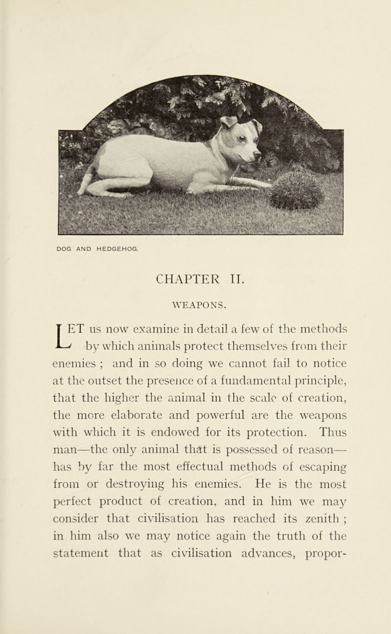 DOG AND HEDGEHOG. CHAPTER IT. WEAPONS. Let us now examine in detail a few of the methods ^ by which animals protect themselves from their enemies ; and in so doing we cannot fail to notice at the outset the presence of a fundamental principle, that the higher the animal in the scale of creation, the more elaborate and powerful are the weapons with which it is endowed for its protection. Thus mau—the only animal that is possessed of reason— has by far the most effectual methods of escaping from or destroying his enemies. He is the most perfect product of creation, and in him we may consider that civilisation has reached its zenith ; in him also we may notice again the truth of the statement that as civilisation advances, proper-