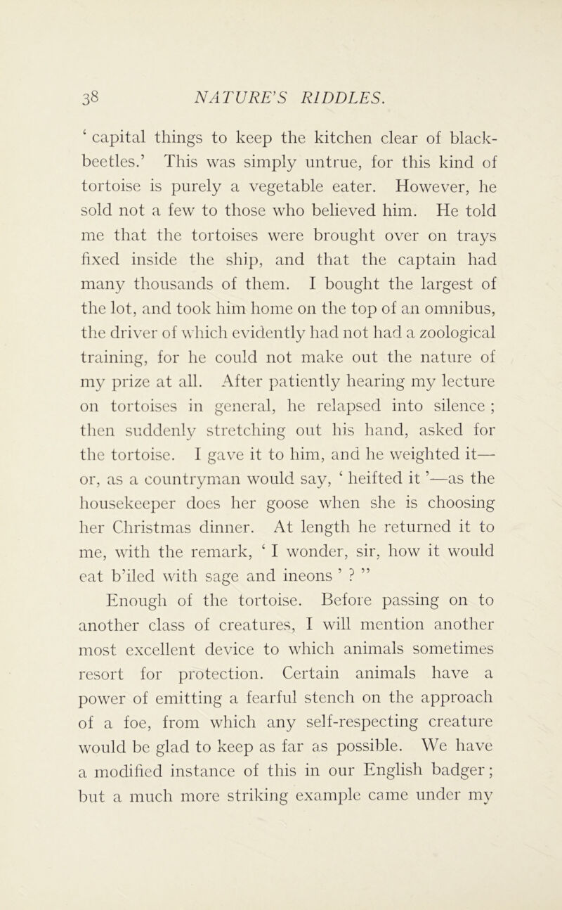 ‘ capital things to keep the kitchen clear of black- beetles.’ This was simply untrue, for this kind of tortoise is purely a vegetable eater. However, he sold not a few to those who believed him. He told me that the tortoises were brought over on trays fixed inside the ship, and that the captain had many thousands of them. I bought the largest of the lot, and took him home on the top of an omnibus, the driver of which evidently had not had a zoological training, for he could not make out the nature of my prize at all. After patiently hearing my lecture on tortoises in general, he relapsed into silence ; then suddenly stretching out his hand, asked for the tortoise. 1 gave it to him, and he weighted it— or, as a countryman would say, ‘ heifted it ’—as the housekeeper does her goose when she is choosing her Christmas dinner. At length he returned it to me, with the remark, ‘ I wonder, sir, how it would eat b’iled with sage and ineons ’ ? ” Enough of the tortoise. Before passing on to another class of creatures, I will mention another most excellent device to which animals sometimes resort for protection. Certain animals have a power of emitting a fearful stench on the approach of a foe, from which any self-respecting creature would be glad to keep as far as possible. We have a modified instance of this in our English badger; but a much more striking example came under my