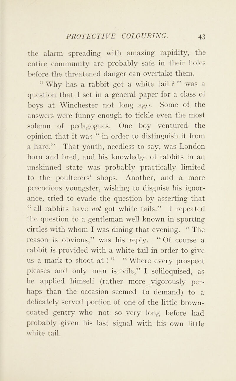 the alarm spreading with amazing rapidity, the entire community are probably safe in their holes before tlie threatened danger can overtake them. “ Why has a rabbit got a white tail ? ” was a question that I set in a general paper for a class of boys at Winchester not long ago. Some of the answers were funnv enough to tickle even the most solemn of pedagogues. One boy ventured the opinion that it was “ in order to distinguish it from a hare.” That youth, needless to say, was London born and bred, and his knowledge of rabbits in an unskinned state was probably practically limited to the poulterers’ shops. Another, and a more precocious youngster, wishing to disguise liis ignor- ance, tried to evade the question by asserting that “ all rabbits have not got white tails.” I repeated the question to a gentleman well known in sporting circles with whom I was dining that evening. “ The reason is obvious,” was his reply. “ Of course a rabbit is provided with a white tail in order to give us a mark to shoot at ! ” “ Where every prospect pleases and only man is vile,” I soliloquised, as he applied himself (rather more vigorously per- haps than the occasion seemed to demand) to a delicately served portion of one of the little brown- coated gentry who not so very long before had probably given his last signal with his own little white tail.