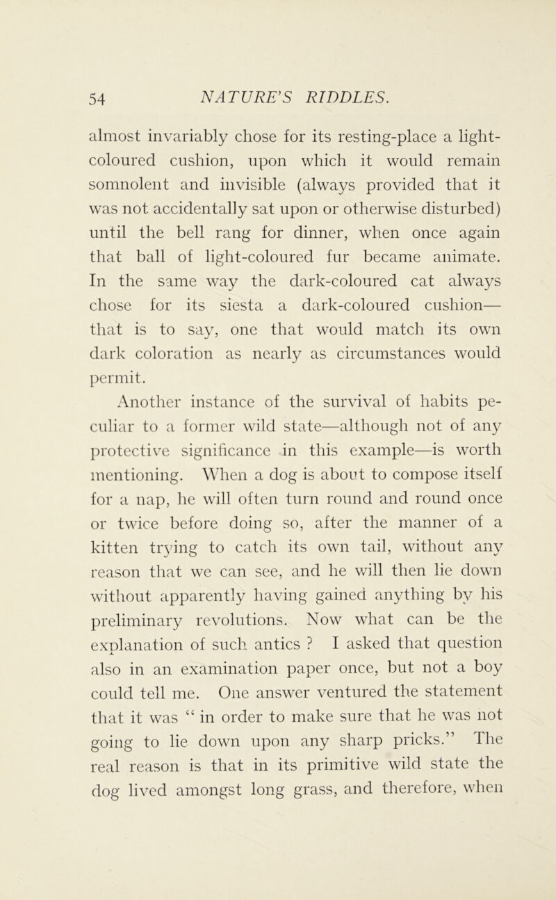 almost invariably chose for its resting-place a light- coloured cushion, upon which it would remain somnolent and invisible (always provided that it was not accidentally sat upon or otherwise disturbed) until the bell rang for dinner, when once again that ball of light-coloured fur became animate. In the same way the dark-coloured cat always chose for its siesta a dark-coloured cushion— that is to say, one that would match its own dark coloration as nearly as circumstances would permit. Another instance of the survival of habits pe- culiar to a former wild state—although not of any protective significance in this example—is worth mentioning. When a dog is about to compose itself for a nap, he will often turn round and round once or twice before doing so, after the manner of a kitten tr\ing to catch its own tail, without any reason that we can see, and he will then lie down without apparently having gained anything by his preliminary revolutions. Now what can be the explanation of such antics ? I asked that question also in an examination paper once, but not a boy could tell me. One answer ventured the statement that it was “ in order to make sure that he was not going to lie down upon any sharp pricks.” The real reason is that in its primitive wild state the dog lived amongst long grass, and therefore, when